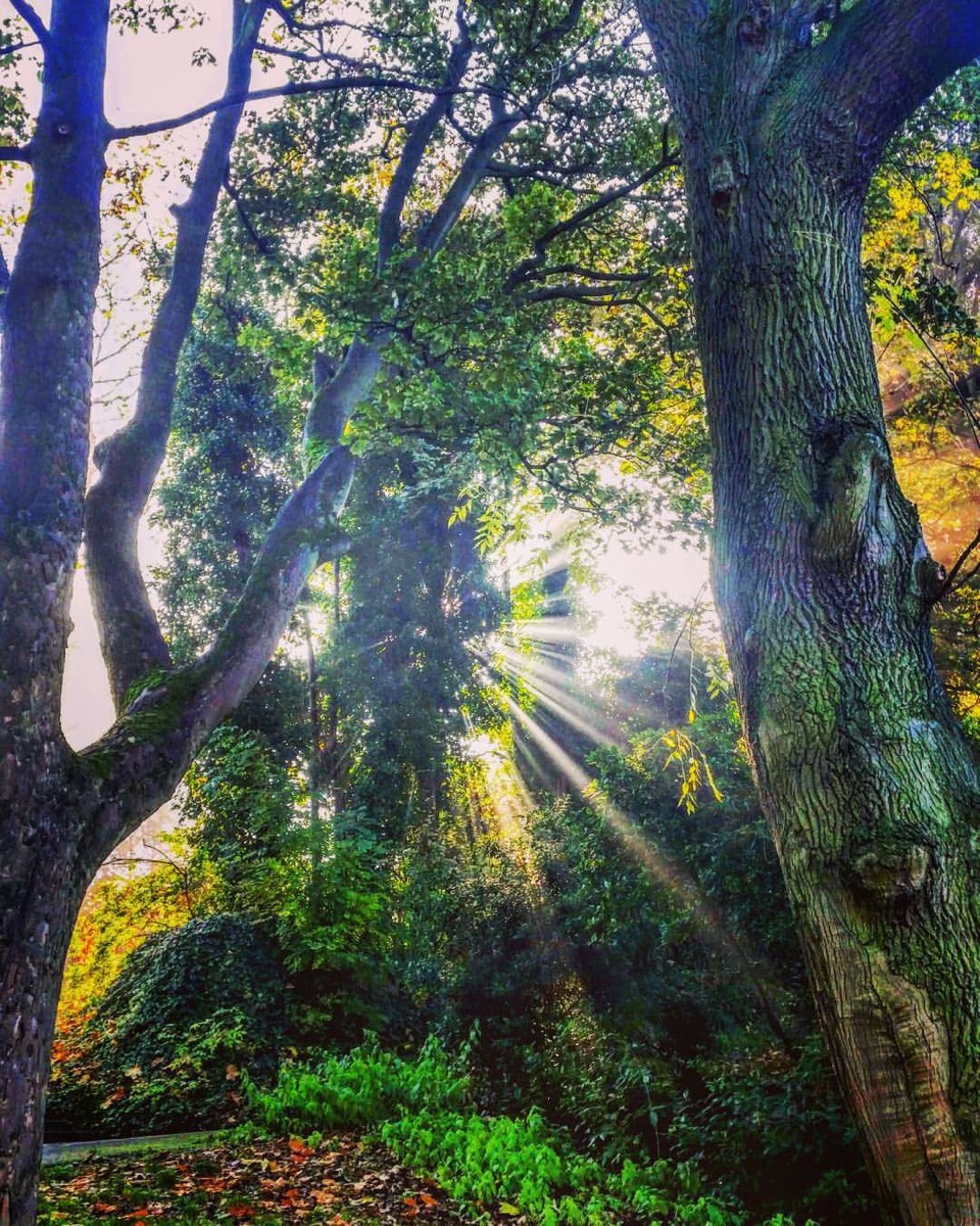 Crookes Valley Park			
					</div><!-- .entry-content -->
		
		<footer>
		
		
		
					
					</footer><!-- .entry-meta -->
	</article><!-- #post -->
				
											
				
		
<hr class=