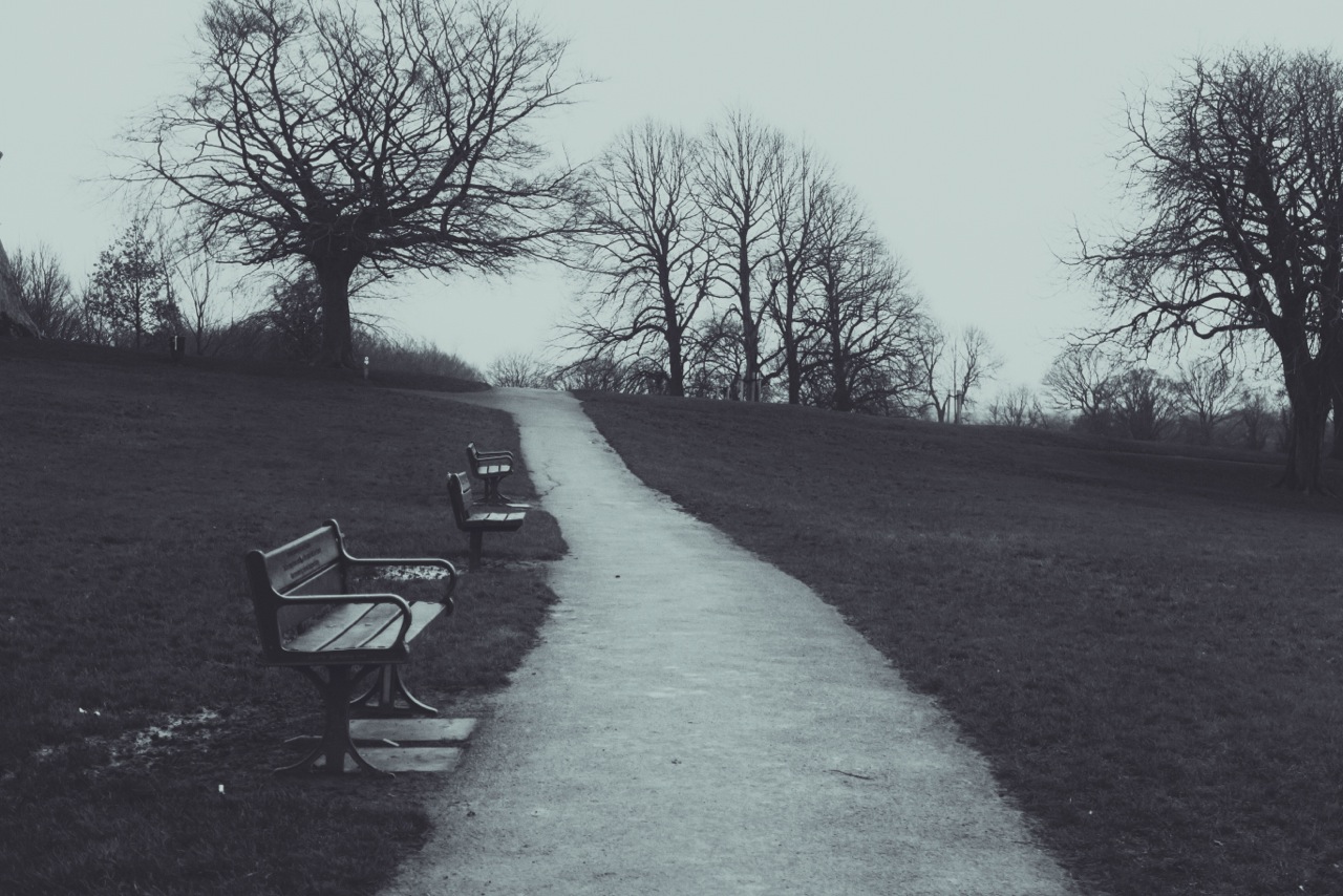 Photo from the field			
					</div><!-- .entry-content -->
		
		<footer>
		
		
		
					
					</footer><!-- .entry-meta -->
	</article><!-- #post -->
				
											
				
		
<hr class=