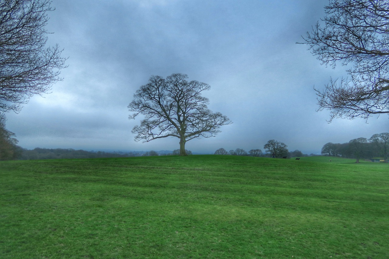 Photo from the field			
					</div><!-- .entry-content -->
		
		<footer>
		
		
		
					
					</footer><!-- .entry-meta -->
	</article><!-- #post -->
				
											
				
		
<hr class=