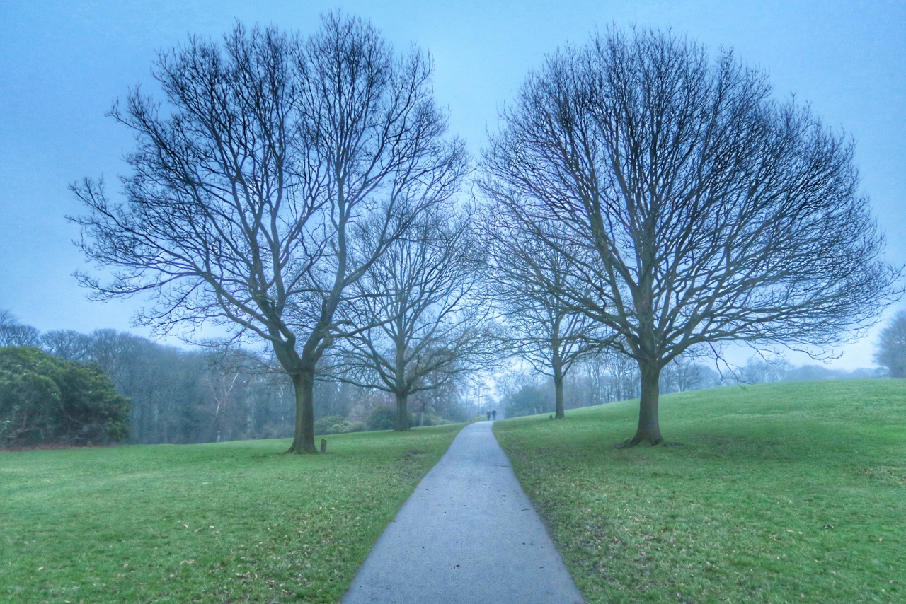 Photo from the field			
					</div><!-- .entry-content -->
		
		<footer>
		
		
		
					
					</footer><!-- .entry-meta -->
	</article><!-- #post -->
				
											
				
		
<hr class=