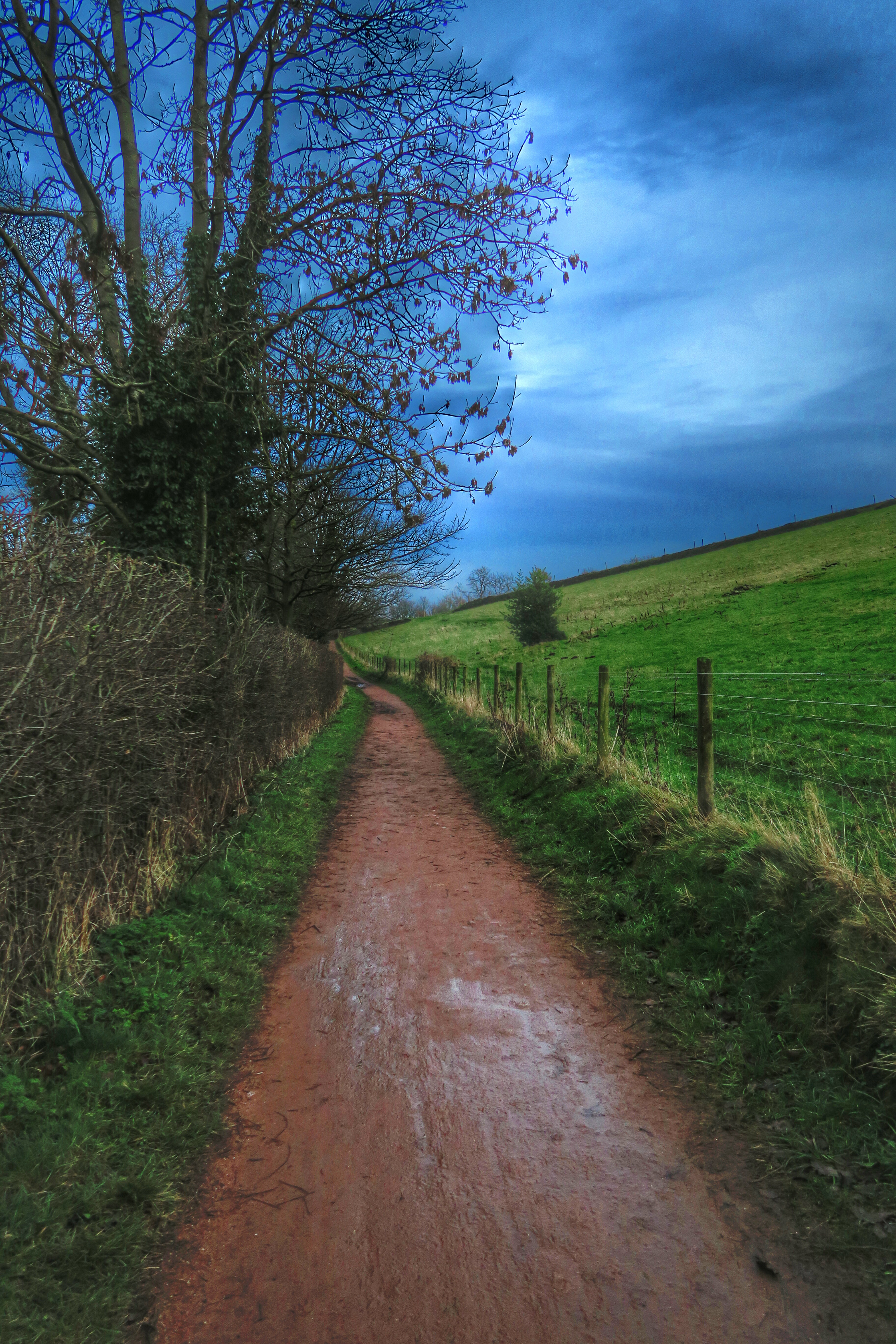 Photo from the field			
					</div><!-- .entry-content -->
		
		<footer>
		
		
		
					
					</footer><!-- .entry-meta -->
	</article><!-- #post -->
				
											
				
		
<hr class=