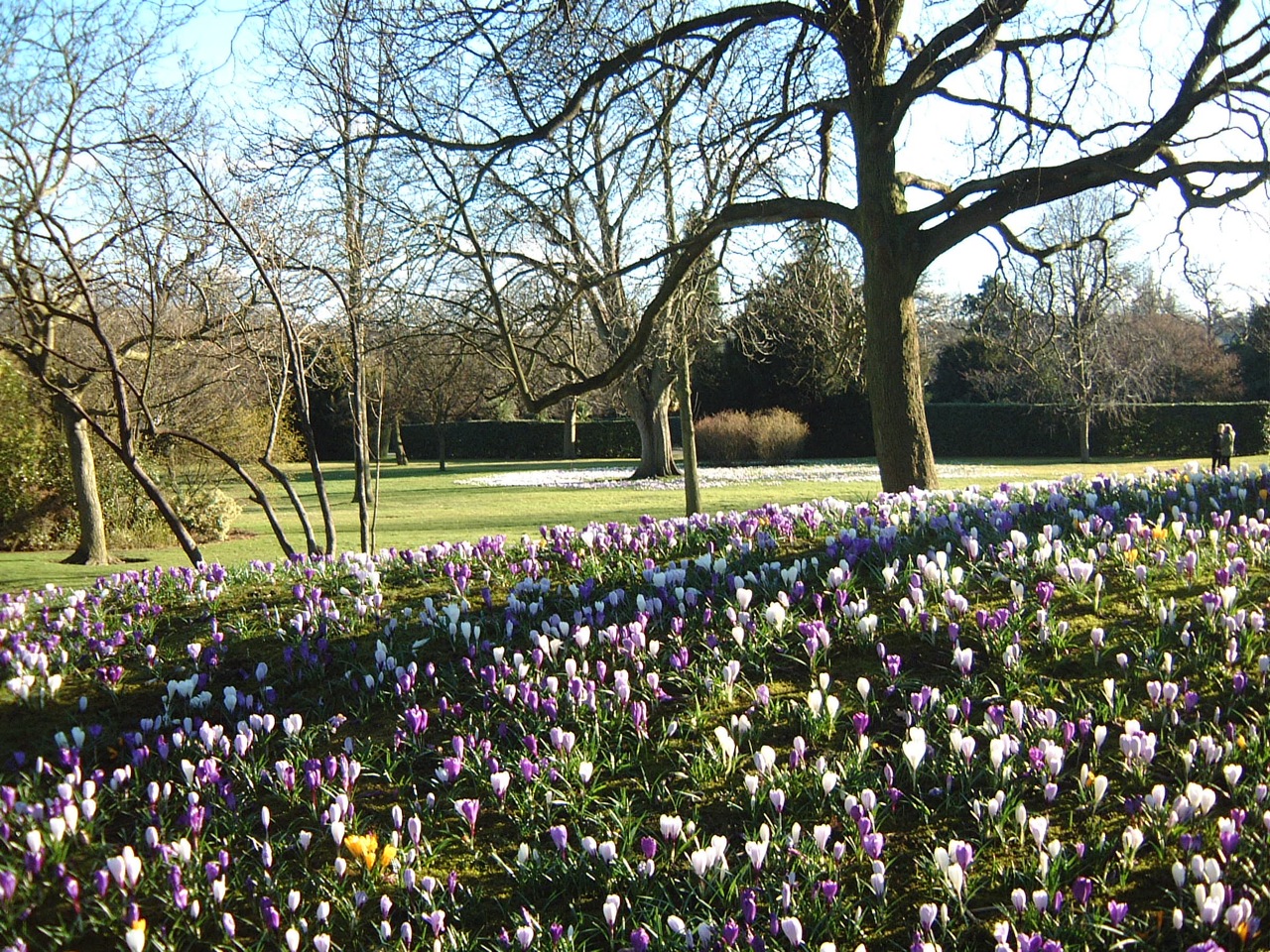 Botanical Gardens			
					</div><!-- .entry-content -->
		
		<footer>
		
		
		
					
					</footer><!-- .entry-meta -->
	</article><!-- #post -->
				
											
				
		
<hr class=