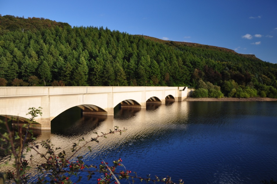 lady bower by Mike Rodgers			
					</div><!-- .entry-content -->
		
		<footer>
		
		
		
					
					</footer><!-- .entry-meta -->
	</article><!-- #post -->
				
											
				
		
<hr class=