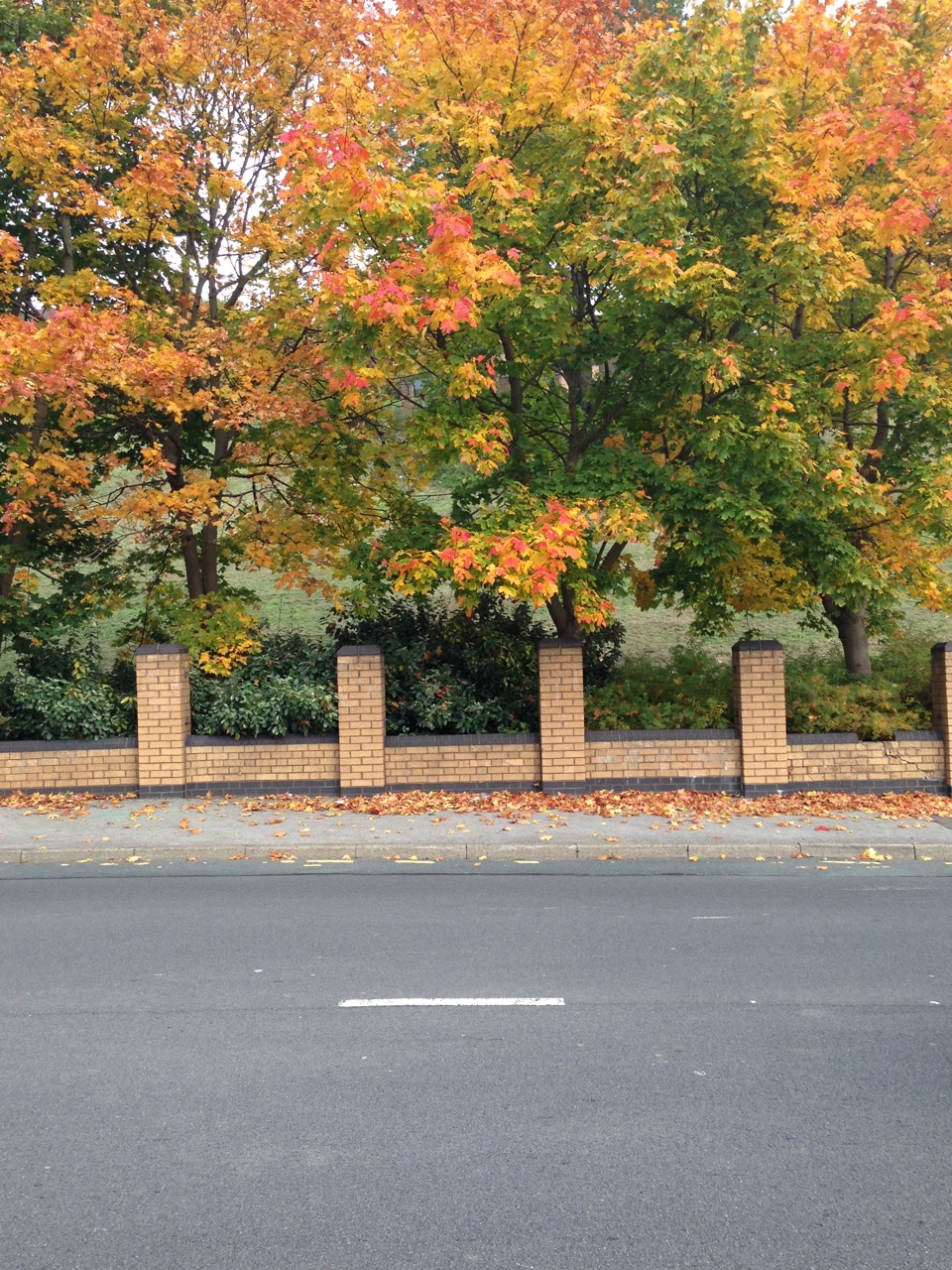 Sheffield photo 2			
					</div><!-- .entry-content -->
		
		<footer>
		
		
		
					
					</footer><!-- .entry-meta -->
	</article><!-- #post -->
				
											
				
		
<hr class=