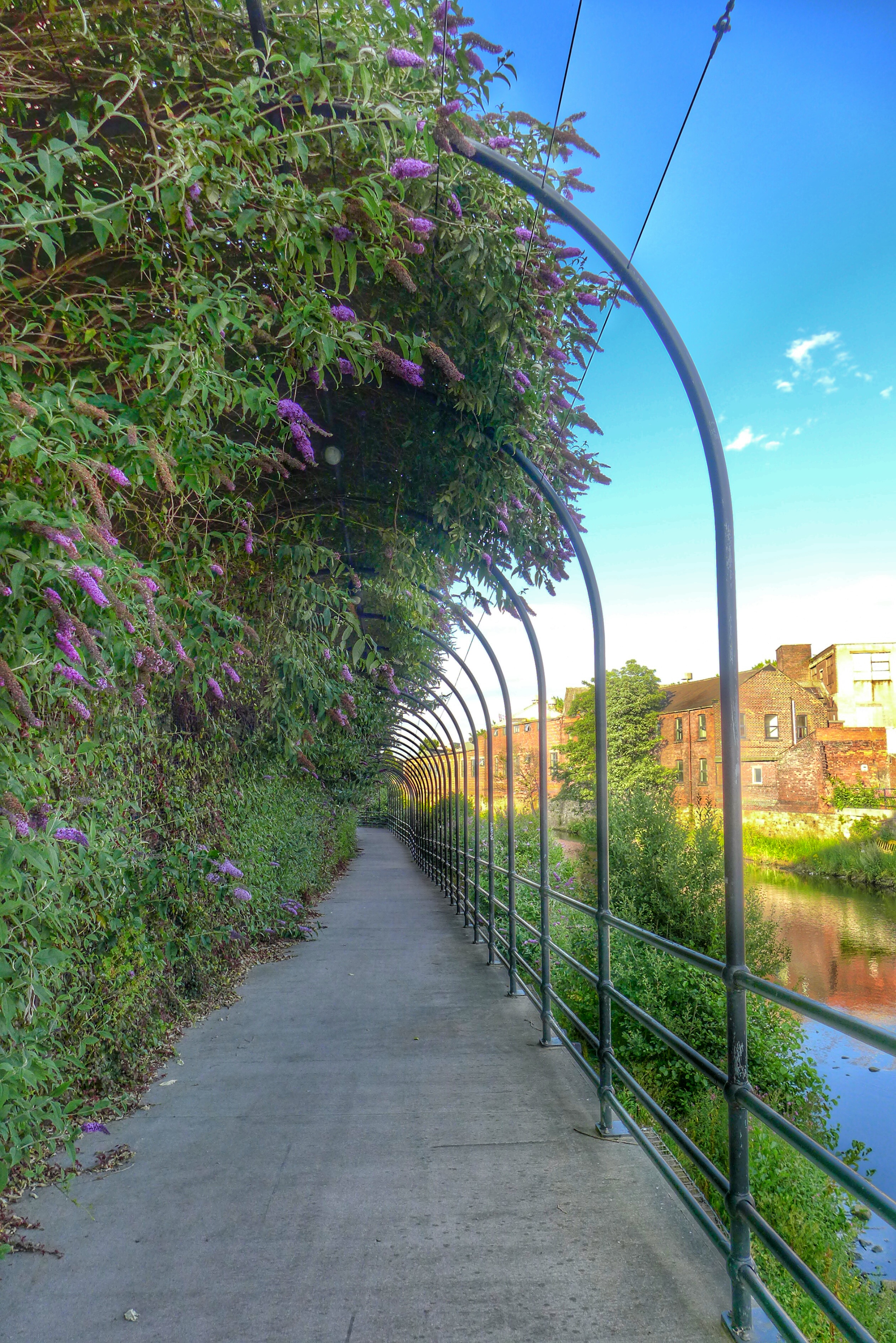 5 weirs walk river don			
					</div><!-- .entry-content -->
		
		<footer>
		
		
		
					
					</footer><!-- .entry-meta -->
	</article><!-- #post -->
				
											
				
		
<hr class=