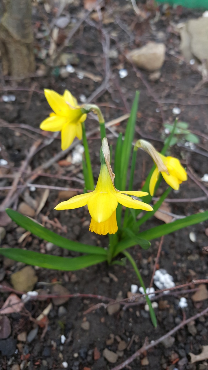 My back garden by gillian hessay aka Meg			
					</div><!-- .entry-content -->
		
		<footer>
		
		
		
					
					</footer><!-- .entry-meta -->
	</article><!-- #post -->
				
											
				
		
<hr class=