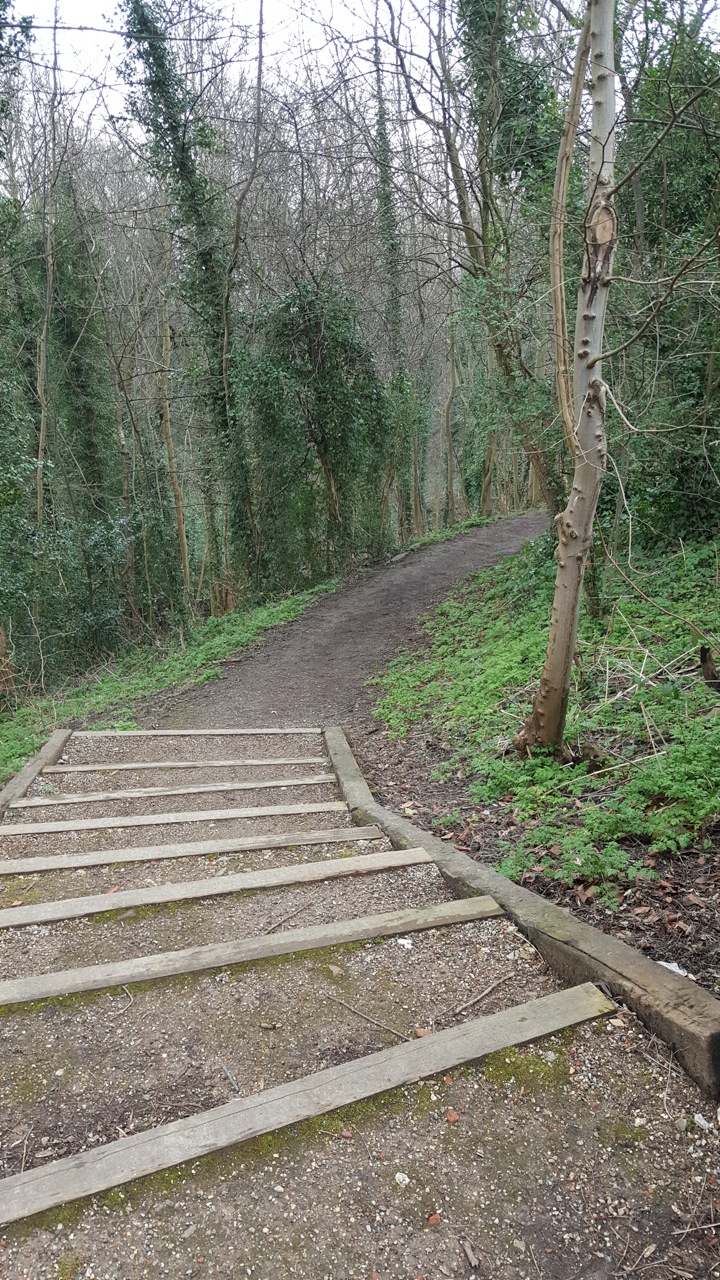 To crabtree ponds by gillian hessay			
					</div><!-- .entry-content -->
		
		<footer>
		
		
		
					
					</footer><!-- .entry-meta -->
	</article><!-- #post -->
				
											
				
		
<hr class=