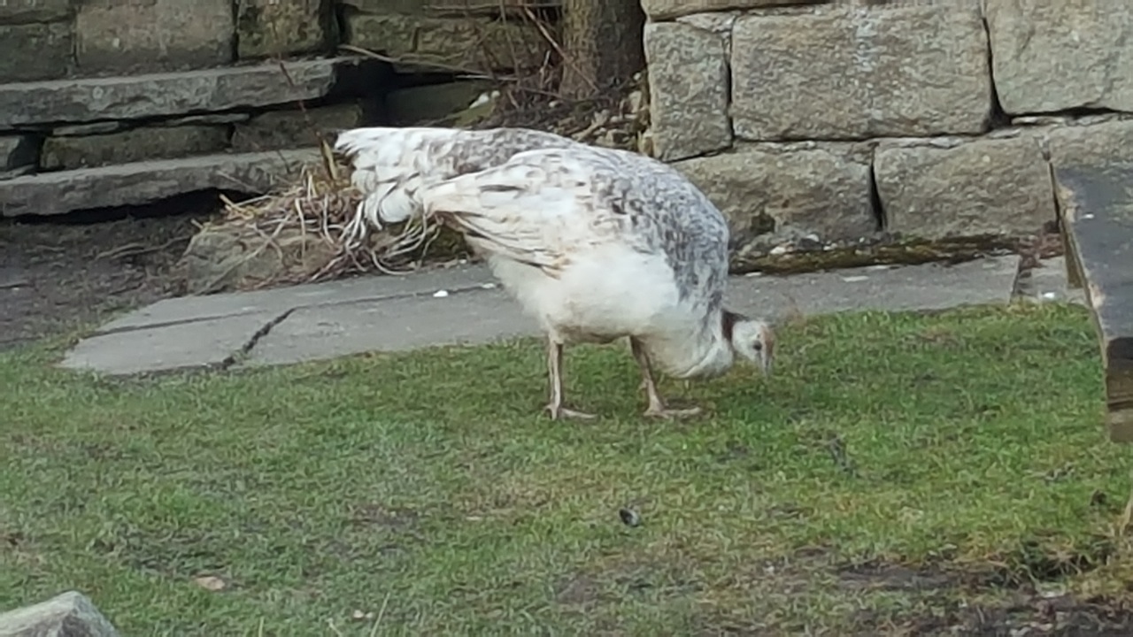 The strines by Gillian Hessay			
					</div><!-- .entry-content -->
		
		<footer>
		
		
		
					
					</footer><!-- .entry-meta -->
	</article><!-- #post -->
				
											
				
		
<hr class=