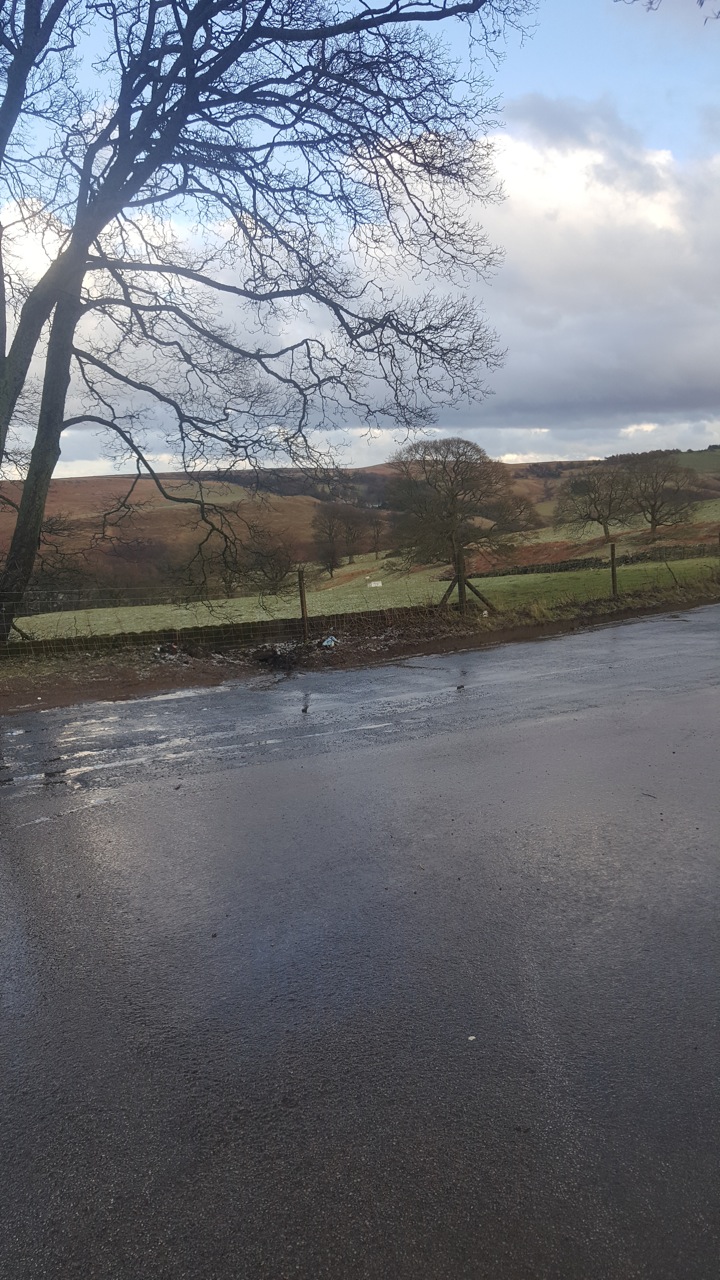 THE STRINES BY GILLIAN HESSAY			
					</div><!-- .entry-content -->
		
		<footer>
		
		
		
					
					</footer><!-- .entry-meta -->
	</article><!-- #post -->
				
											
				
		
<hr class=