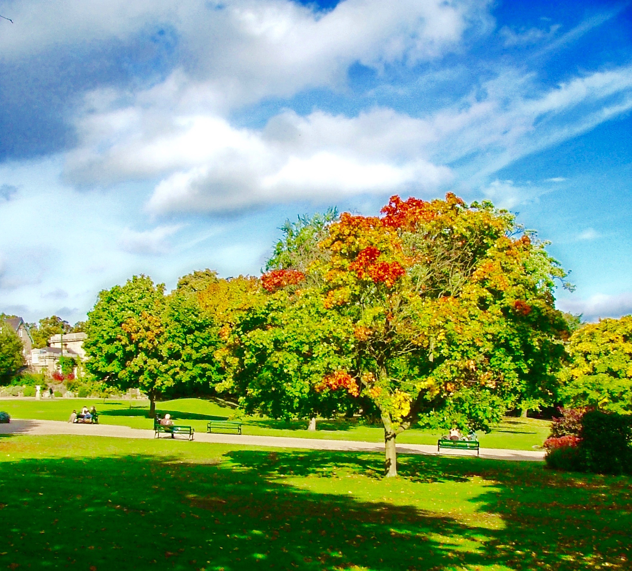 Botanical Gardens by Mike Rodgers			
					</div><!-- .entry-content -->
		
		<footer>
		
		
		
					
					</footer><!-- .entry-meta -->
	</article><!-- #post -->
				
											
				
		
<hr class=