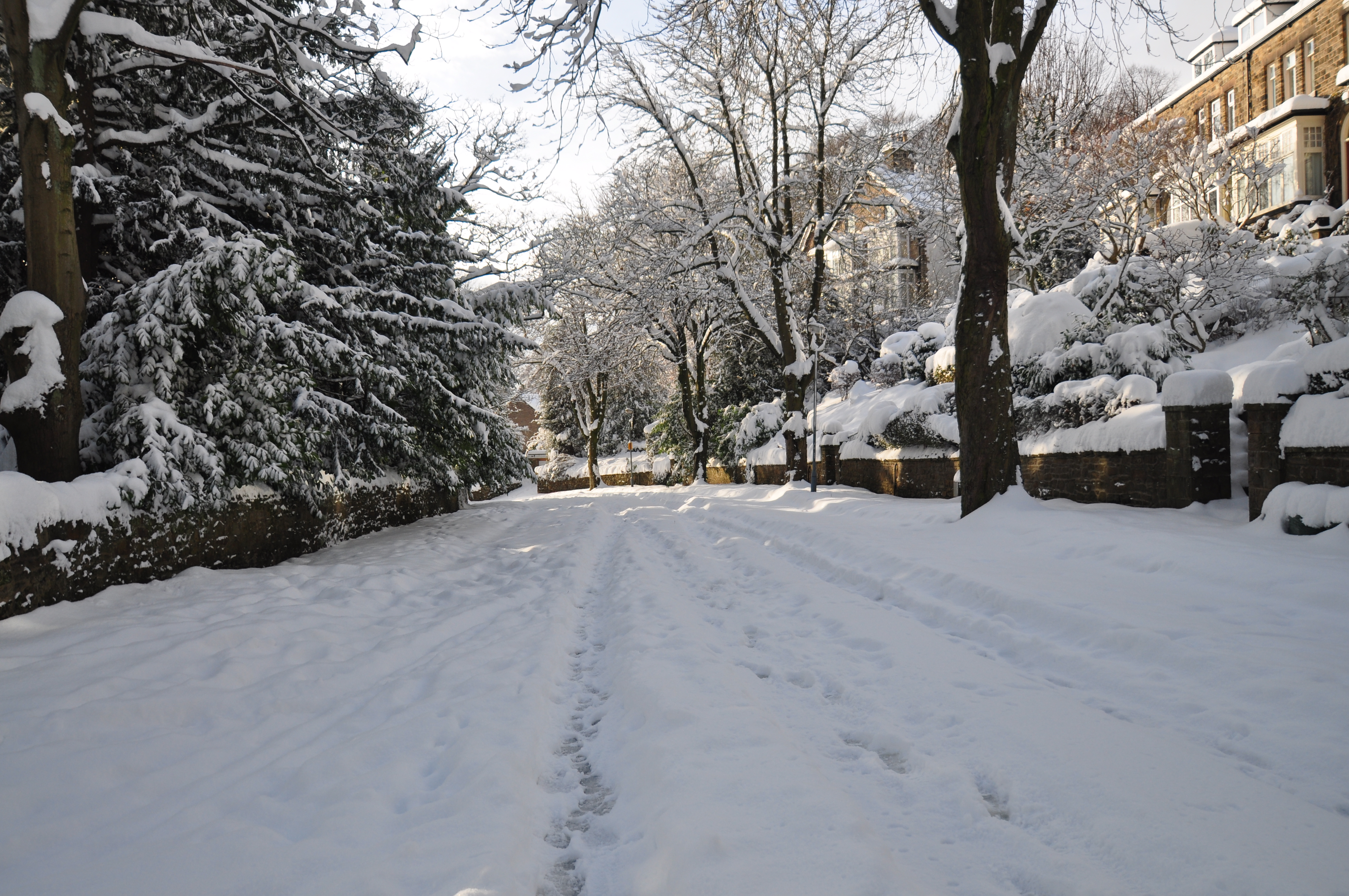 Snow at Rancour by Mike Rodgers			
					</div><!-- .entry-content -->
		
		<footer>
		
		
		
					
					</footer><!-- .entry-meta -->
	</article><!-- #post -->
				
											
				
		
<hr class=