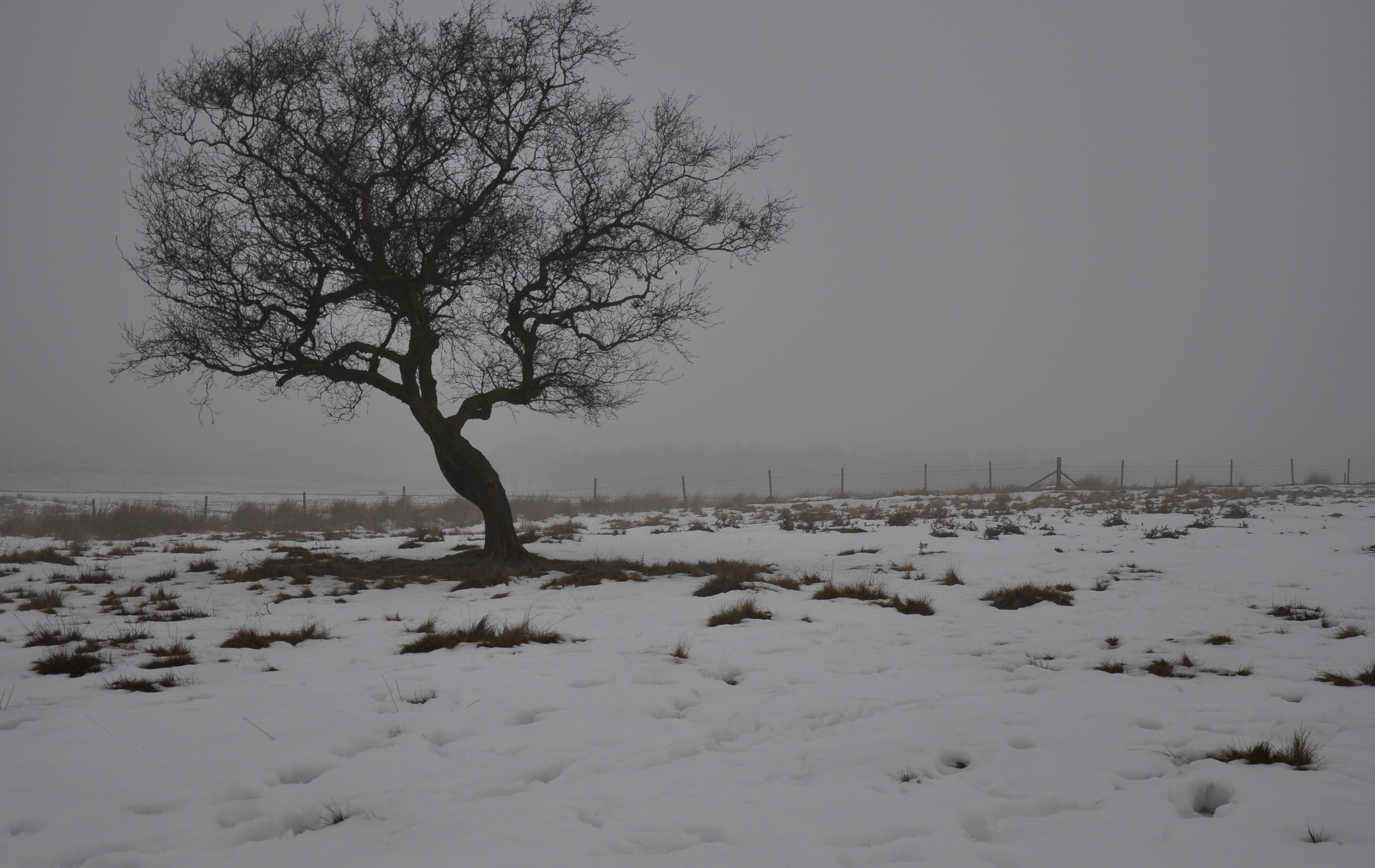 fox house by Mike Rodgers			
					</div><!-- .entry-content -->
		
		<footer>
		
		
		
					
					</footer><!-- .entry-meta -->
	</article><!-- #post -->
				
											
				
		
<hr class=