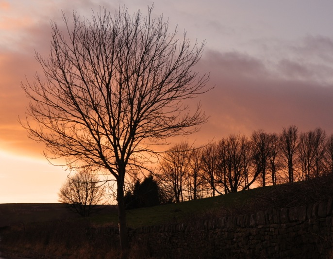 Fuelwood by Mike Rodgers			
					</div><!-- .entry-content -->
		
		<footer>
		
		
		
					
					</footer><!-- .entry-meta -->
	</article><!-- #post -->
				
											
				
		
<hr class=