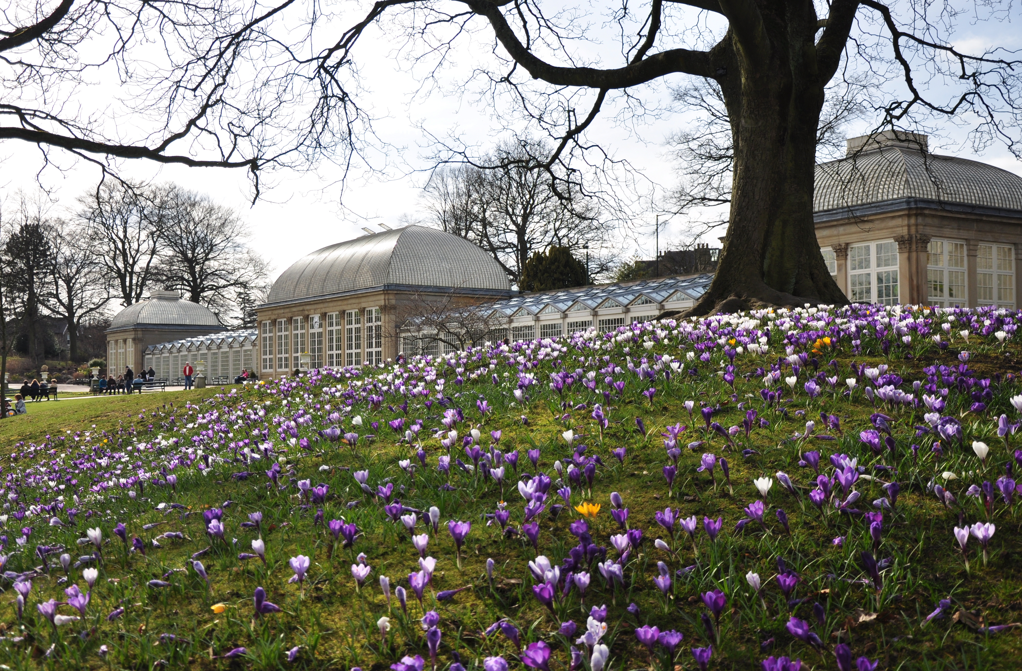 botanical gardens by Mike Rodgers			
					</div><!-- .entry-content -->
		
		<footer>
		
		
		
					
					</footer><!-- .entry-meta -->
	</article><!-- #post -->
				
											
				
		
<hr class=