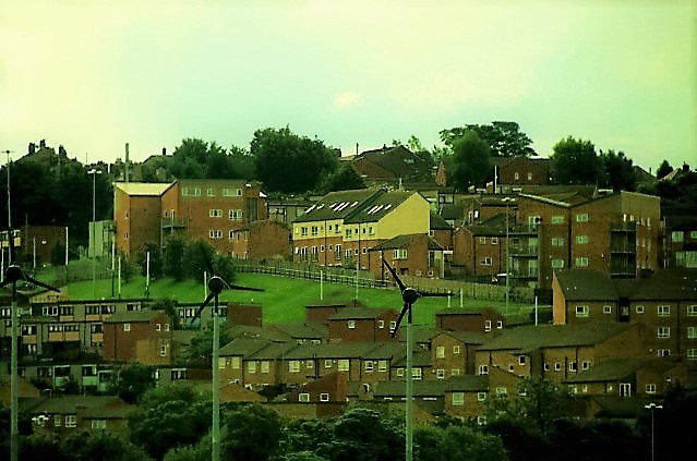 Photo from the field			
					</div><!-- .entry-content -->
		
		<footer>
		
		
		
					
					</footer><!-- .entry-meta -->
	</article><!-- #post -->
				
											
				
		
<hr class=