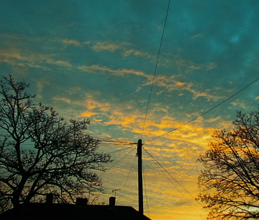 Photo from the field			
					</div><!-- .entry-content -->
		
		<footer>
		
		
		
					
					</footer><!-- .entry-meta -->
	</article><!-- #post -->
				
											
				
		
<hr class=