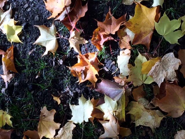 Botanical gardens			
					</div><!-- .entry-content -->
		
		<footer>
		
		
		
					
					</footer><!-- .entry-meta -->
	</article><!-- #post -->
				
											
				
		
<hr class=