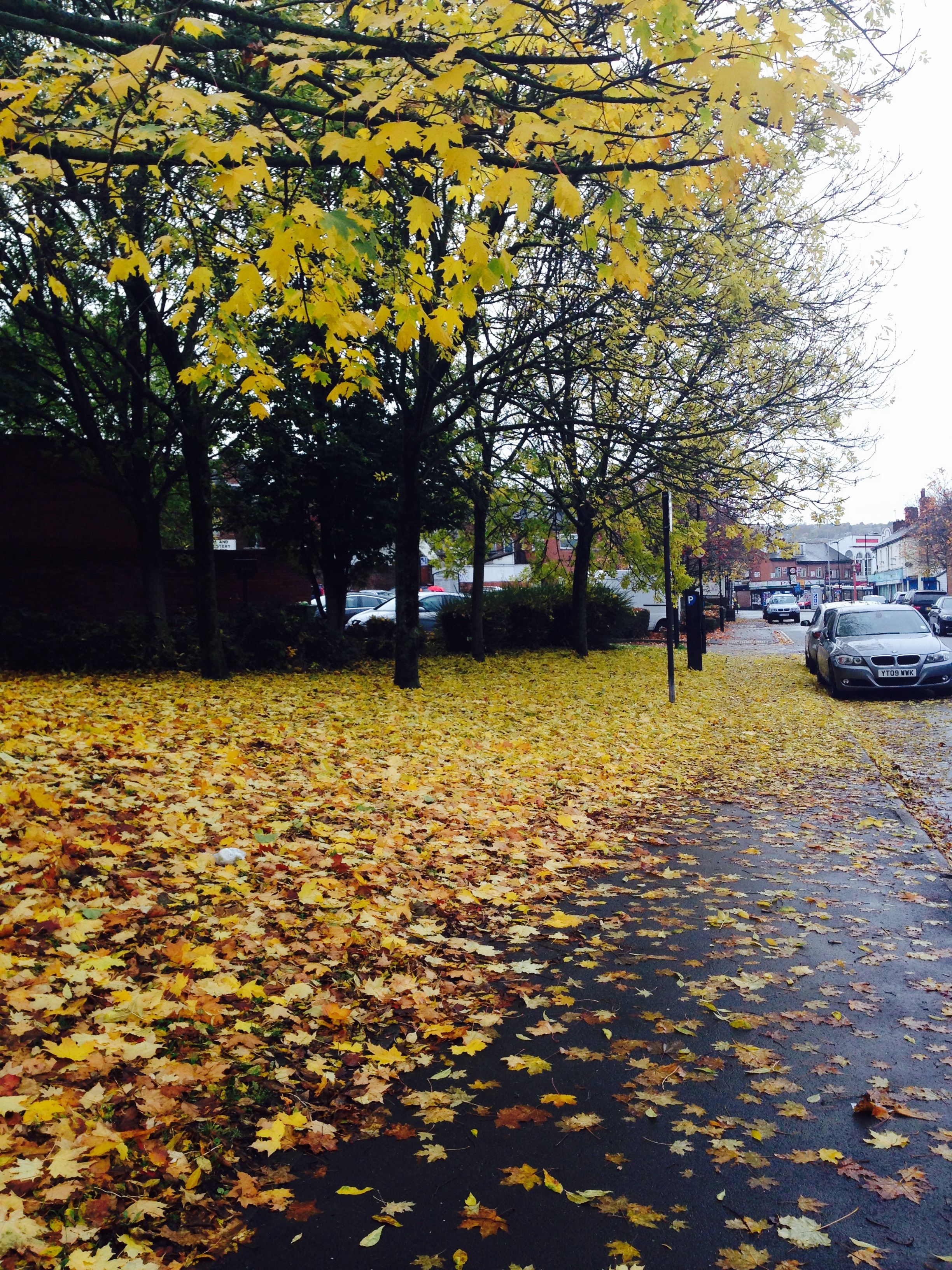 SN views			
					</div><!-- .entry-content -->
		
		<footer>
		
		
		
					
					</footer><!-- .entry-meta -->
	</article><!-- #post -->
				
											
				
		
<hr class=