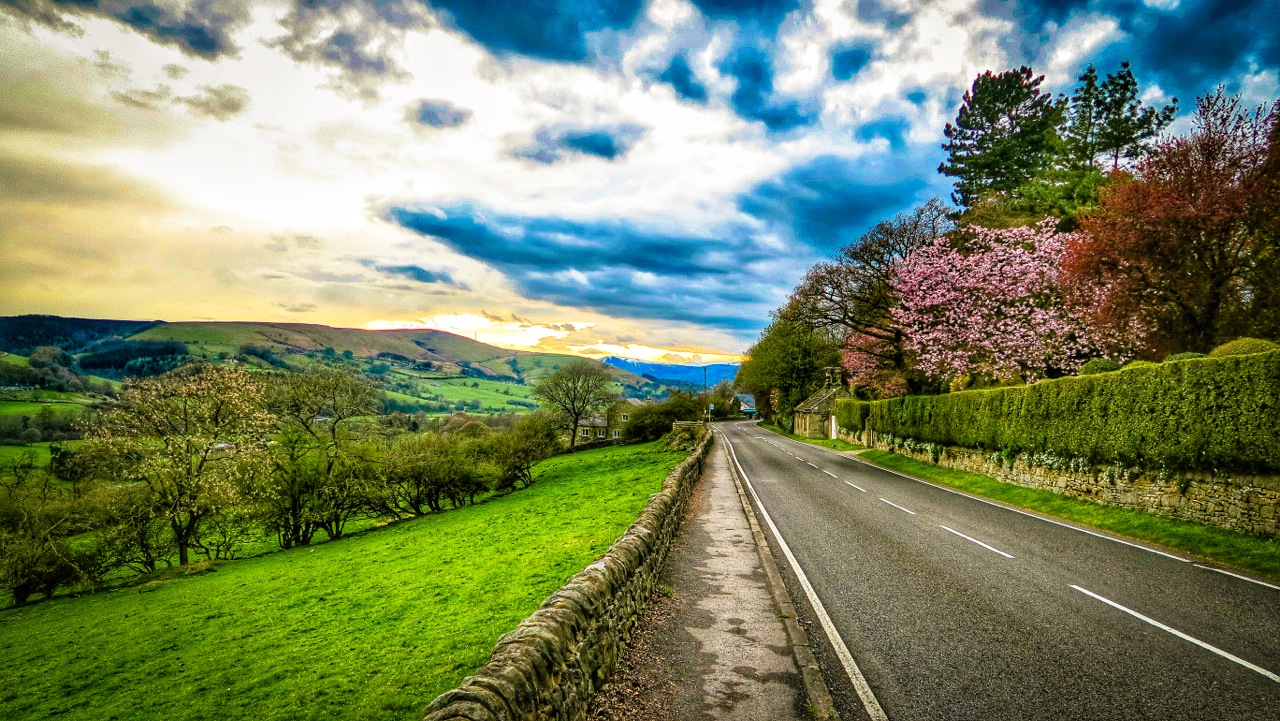 Photo from the field			
					</div><!-- .entry-content -->
		
		<footer>
		
		
		
					
					</footer><!-- .entry-meta -->
	</article><!-- #post -->
				
											
				
		
<hr class=