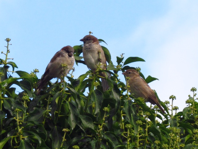 Photo from the field			
					</div><!-- .entry-content -->
		
		<footer>
		
		
		
					
					</footer><!-- .entry-meta -->
	</article><!-- #post -->
				
											
				
		
<hr class=