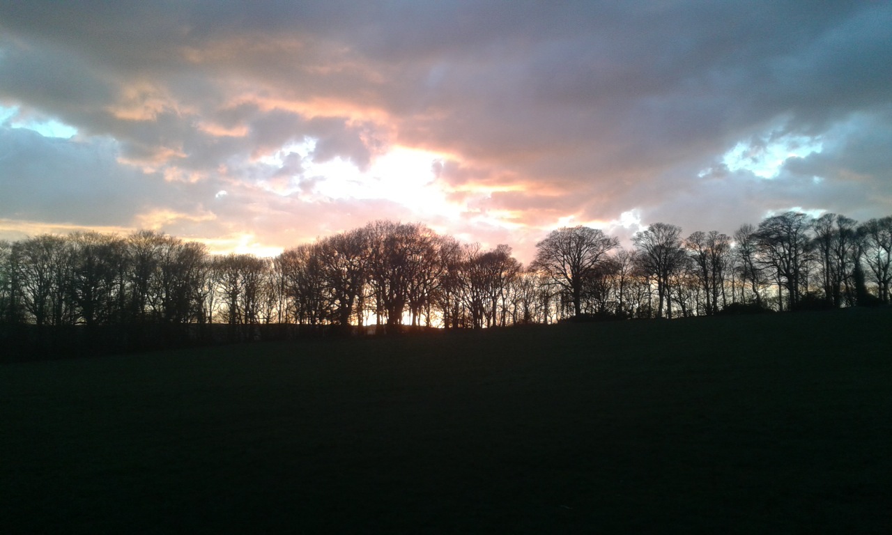 Photo from the field			
					</div><!-- .entry-content -->
		
		<footer>
		
		
		
					
					</footer><!-- .entry-meta -->
	</article><!-- #post -->
				
											
				
		
<hr class=