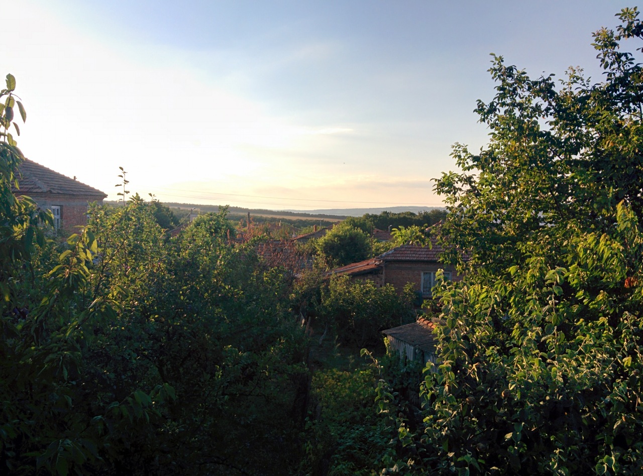 Photo from the field			
					</div><!-- .entry-content -->
		
		<footer>
		
		
		
					
					</footer><!-- .entry-meta -->
	</article><!-- #post -->
				
											
				
		
<hr class=