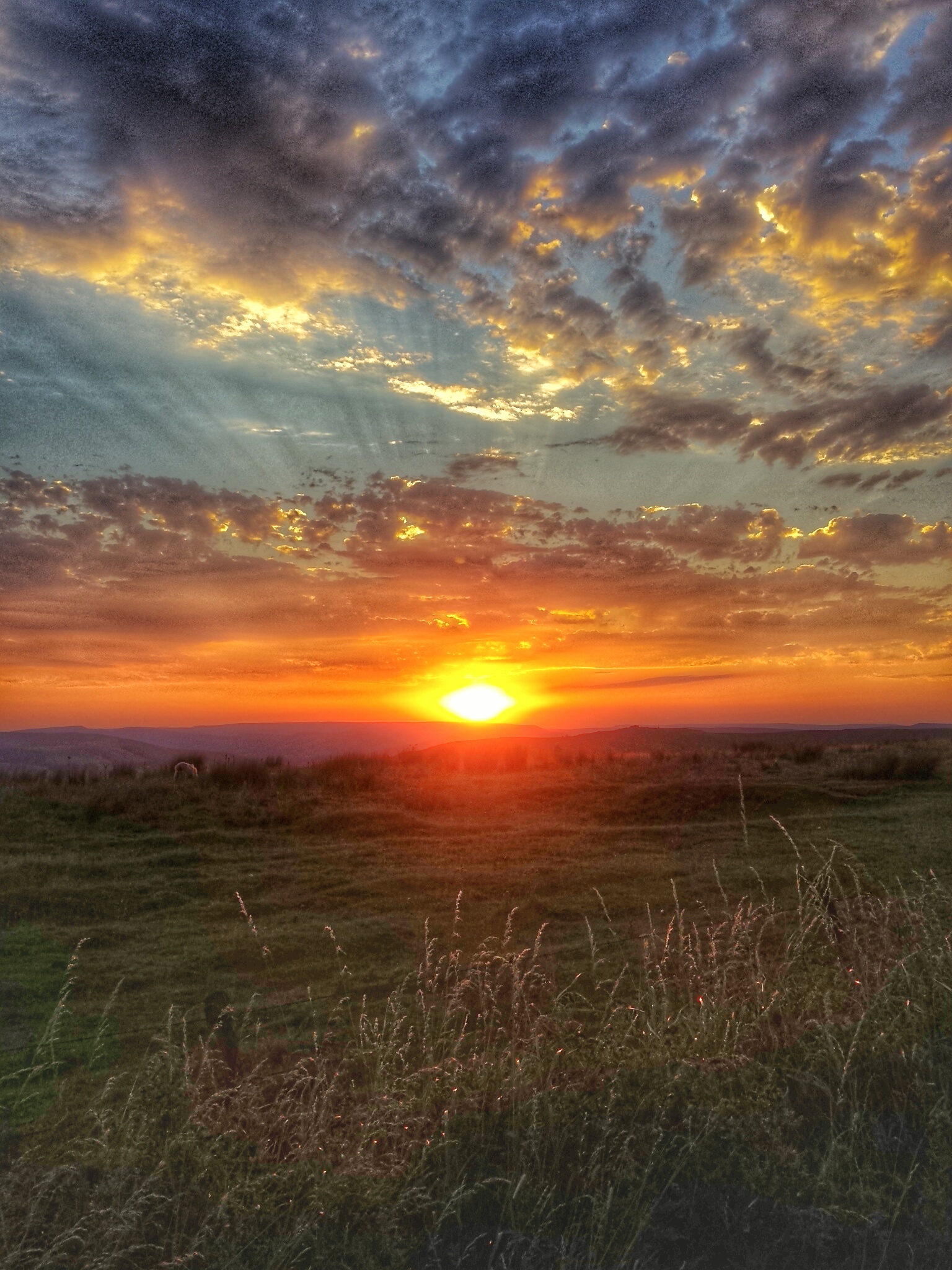 Photo from the field			
					</div><!-- .entry-content -->
		
		<footer>
		
		
		
					
					</footer><!-- .entry-meta -->
	</article><!-- #post -->
				
											
				
		
<hr class=