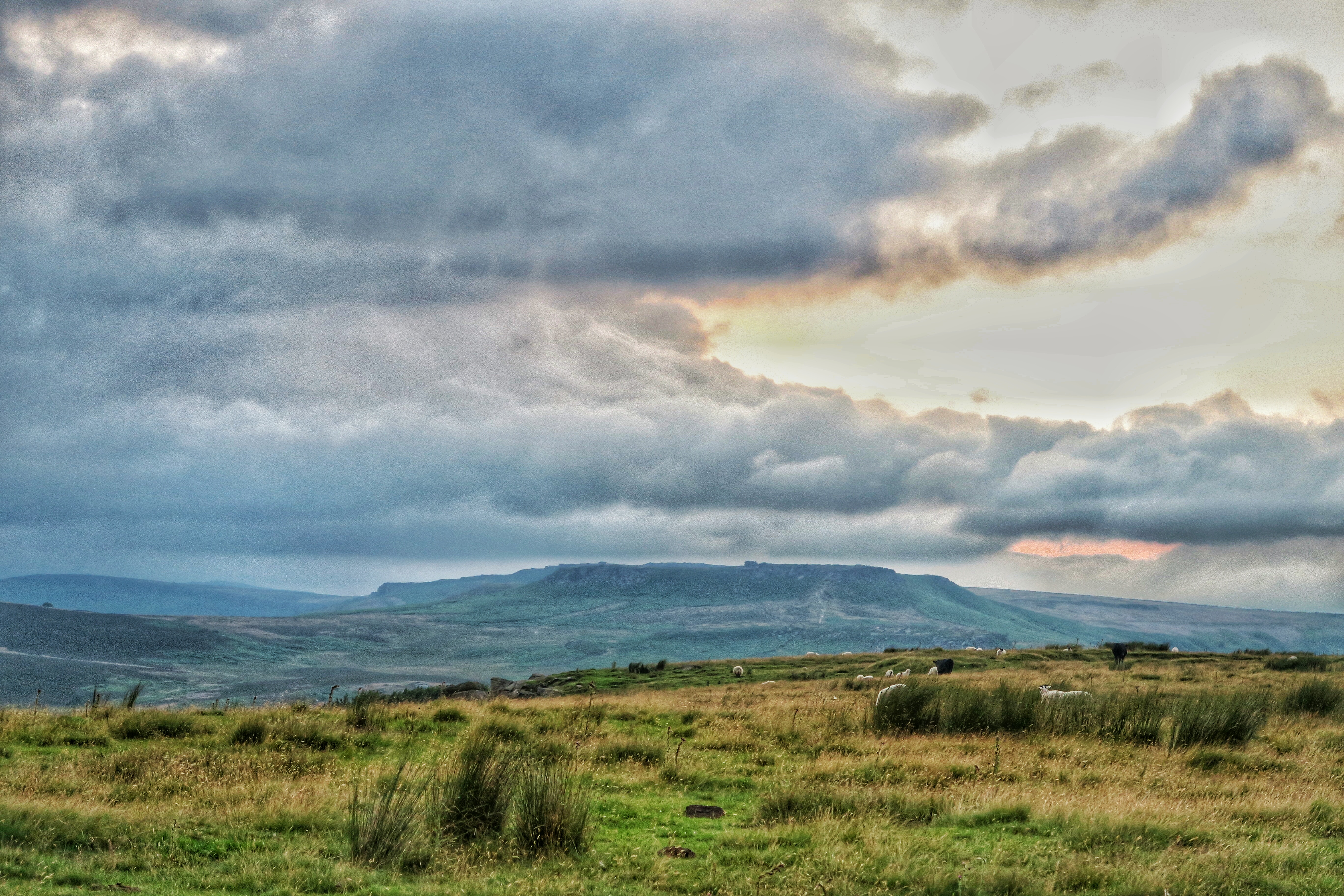 Photo from the field			
					</div><!-- .entry-content -->
		
		<footer>
		
		
		
					
					</footer><!-- .entry-meta -->
	</article><!-- #post -->
				
											
				
		
<hr class=