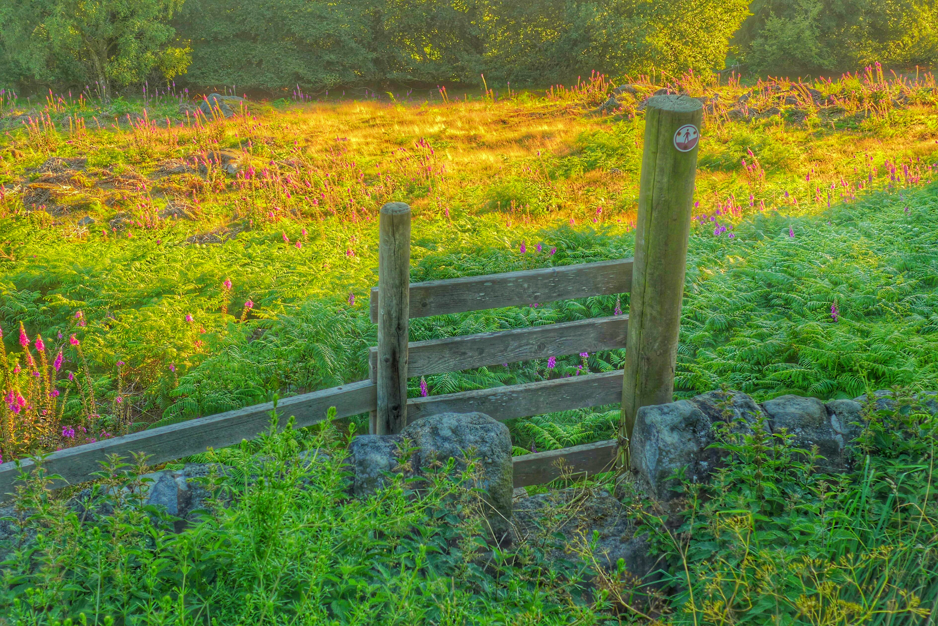 Photo from the field			
					</div><!-- .entry-content -->
		
		<footer>
		
		
		
					
					</footer><!-- .entry-meta -->
	</article><!-- #post -->
				
											
				
		
<hr class=