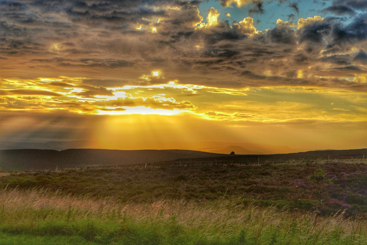 Photo from the field			
					</div><!-- .entry-content -->
		
		<footer>
		
		
		
					
					</footer><!-- .entry-meta -->
	</article><!-- #post -->
				
											
				
		
<hr class=