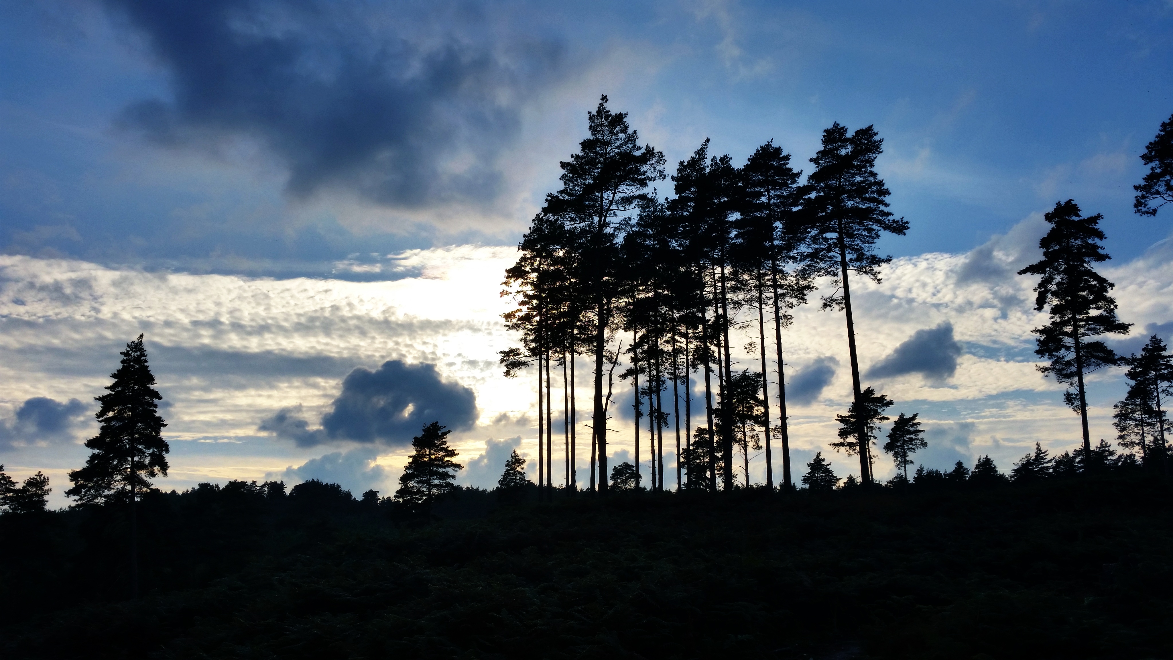 Photograph of Sheffield			
					</div><!-- .entry-content -->
		
		<footer>
		
		
		
					
					</footer><!-- .entry-meta -->
	</article><!-- #post -->
				
											
				
		
<hr class=