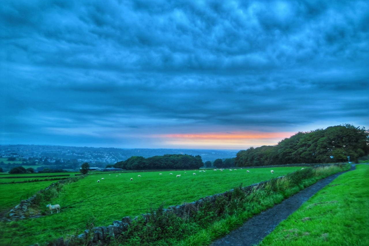 Photo from the field			
					</div><!-- .entry-content -->
		
		<footer>
		
		
		
					
					</footer><!-- .entry-meta -->
	</article><!-- #post -->
				
											
				
		
<hr class=