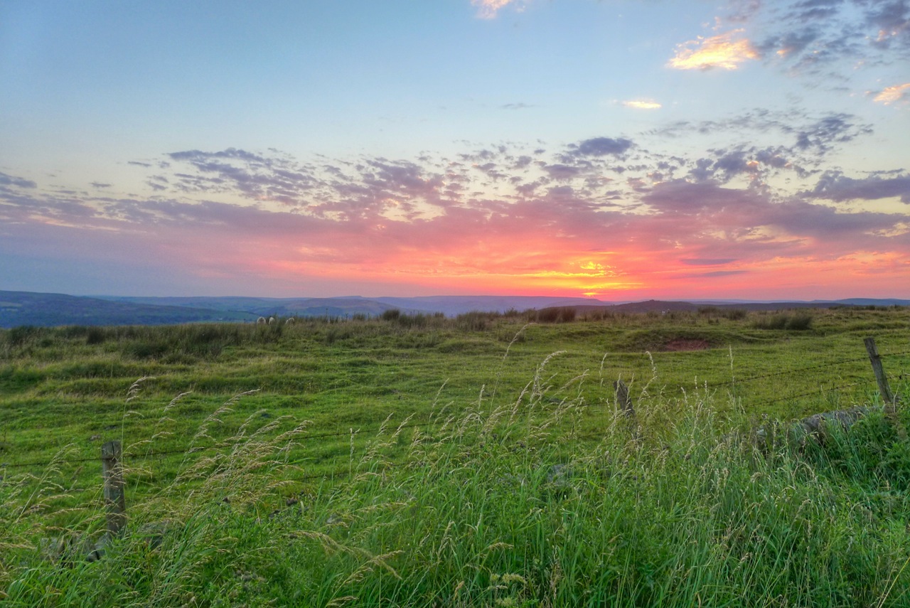 Pic of the day			
					</div><!-- .entry-content -->
		
		<footer>
		
		
		
					
					</footer><!-- .entry-meta -->
	</article><!-- #post -->
				
											
				
		
<hr class=