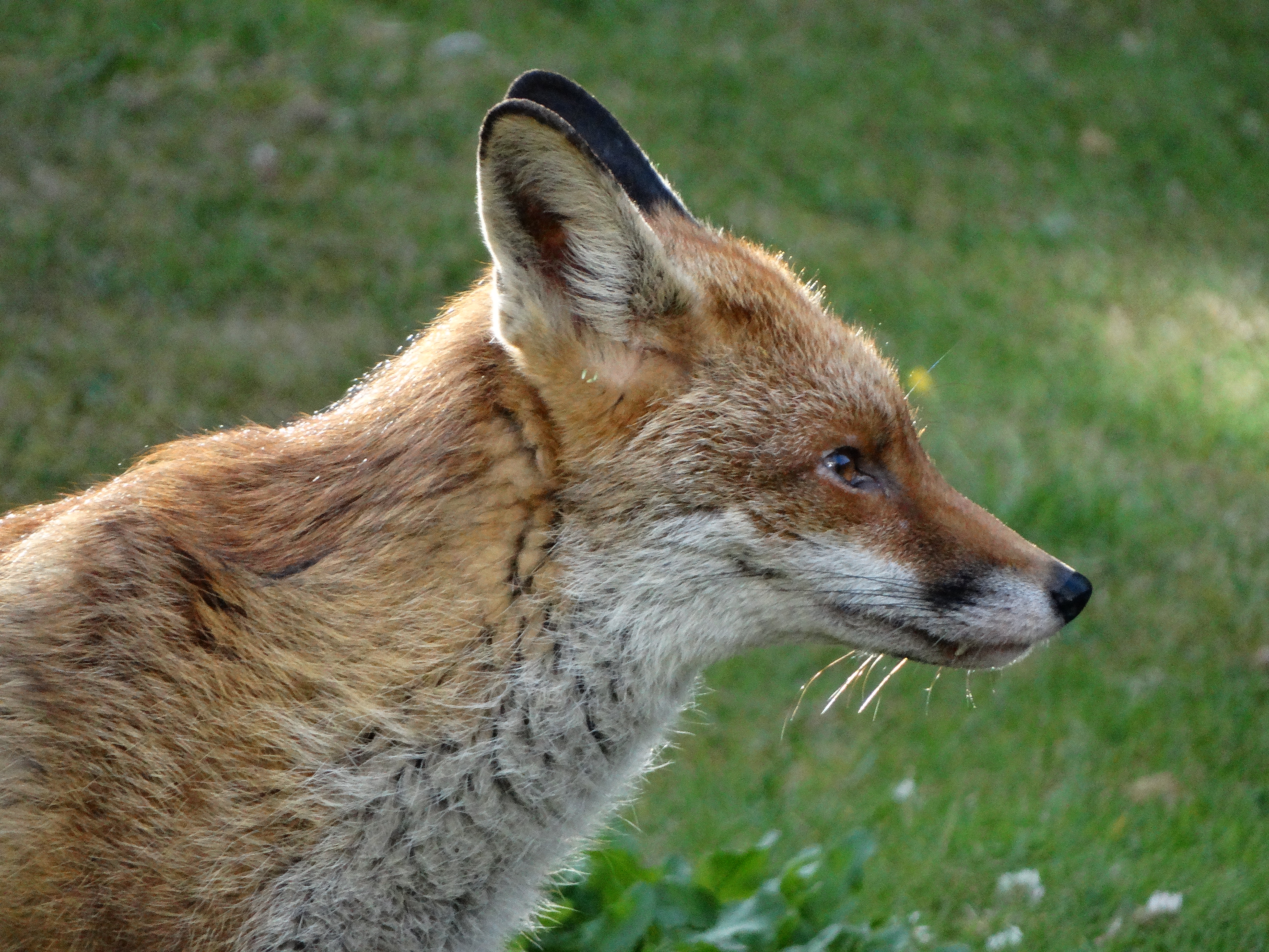 Fwd: Photograph 3			
					</div><!-- .entry-content -->
		
		<footer>
		
		
		
					
					</footer><!-- .entry-meta -->
	</article><!-- #post -->
				
											
				
		
<hr class=