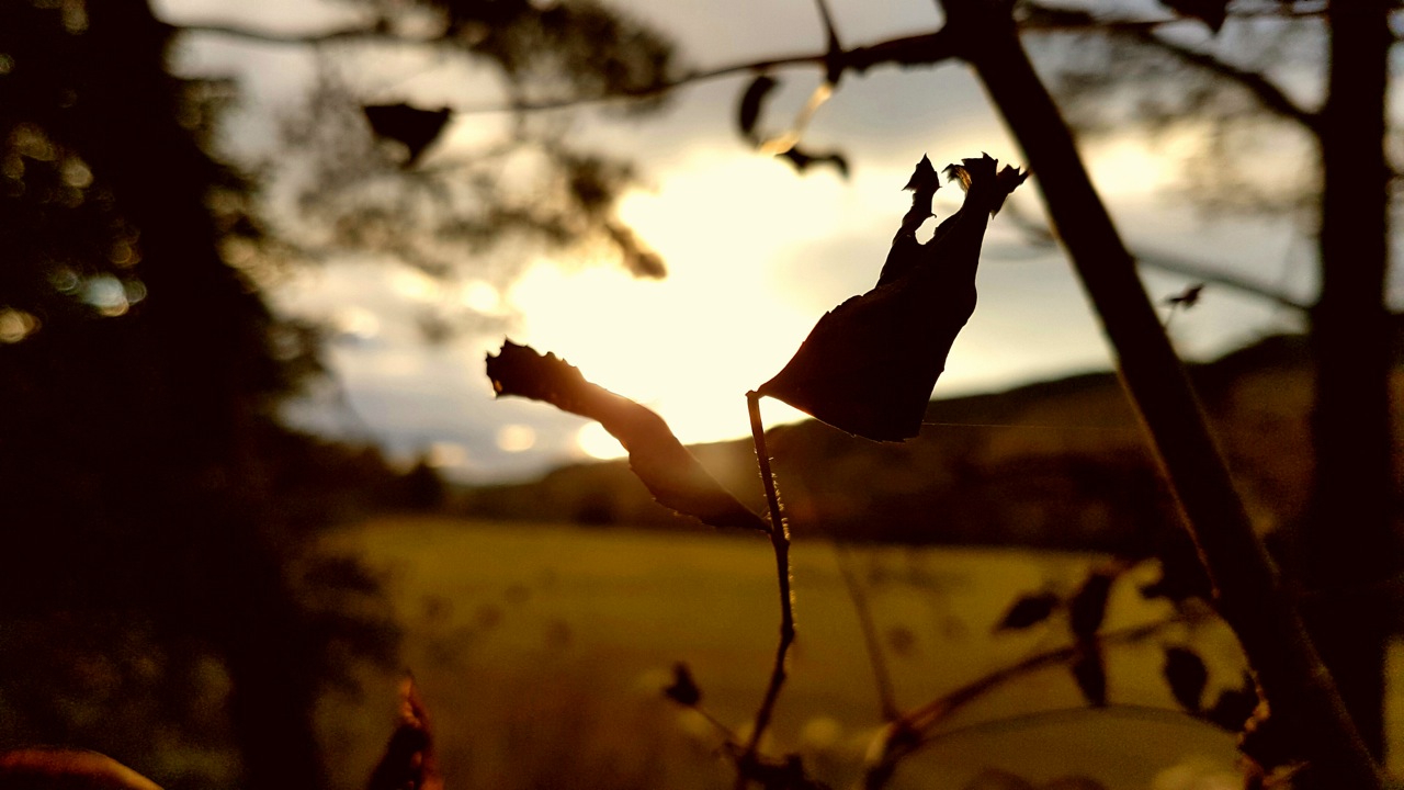 Fwd: Padely Gorge			
					</div><!-- .entry-content -->
		
		<footer>
		
		
		
					
					</footer><!-- .entry-meta -->
	</article><!-- #post -->
				
											
				
		
<hr class=