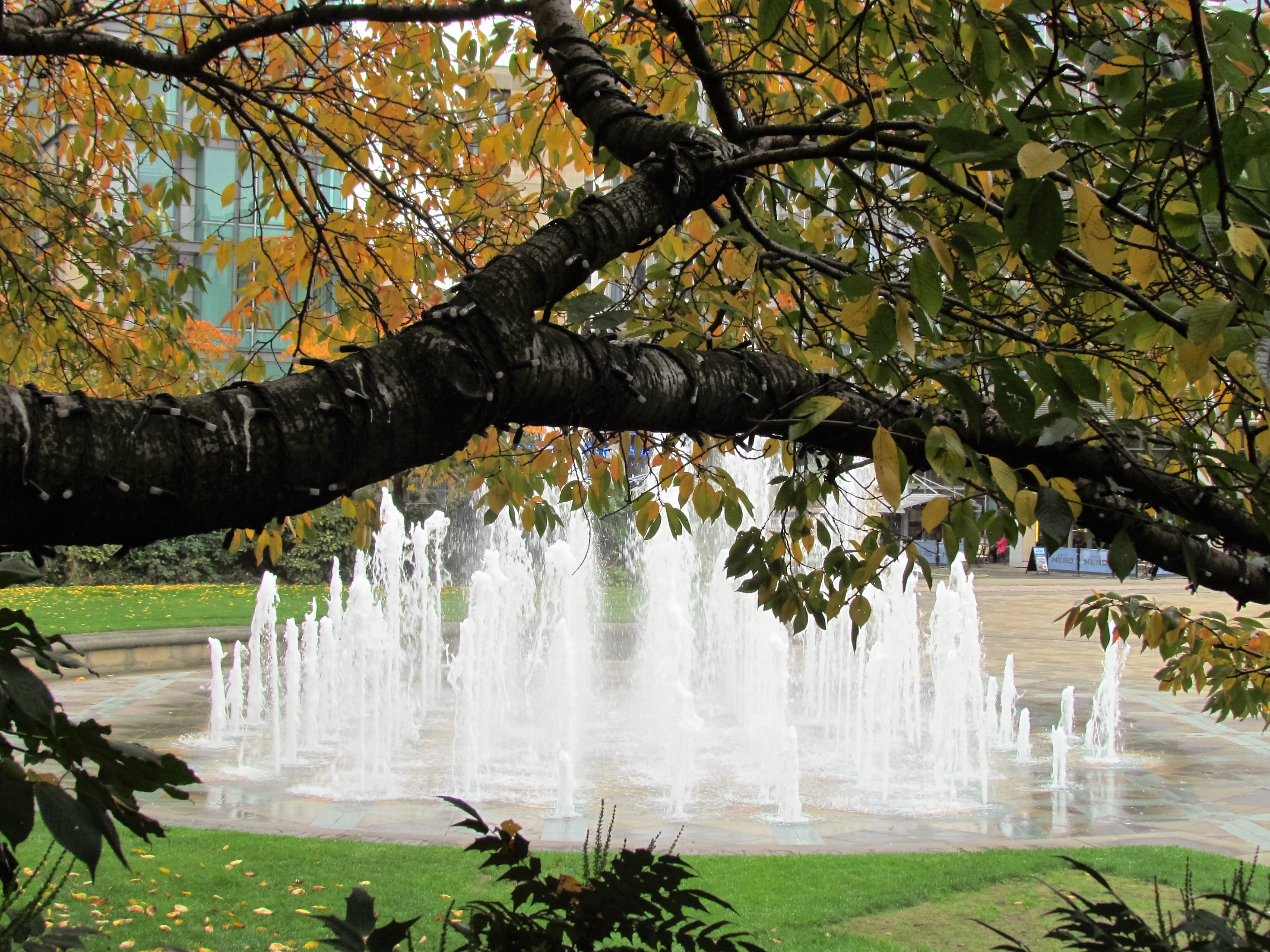 Fwd:			
					</div><!-- .entry-content -->
		
		<footer>
		
		
		
					
					</footer><!-- .entry-meta -->
	</article><!-- #post -->
				
											
				
		
<hr class=