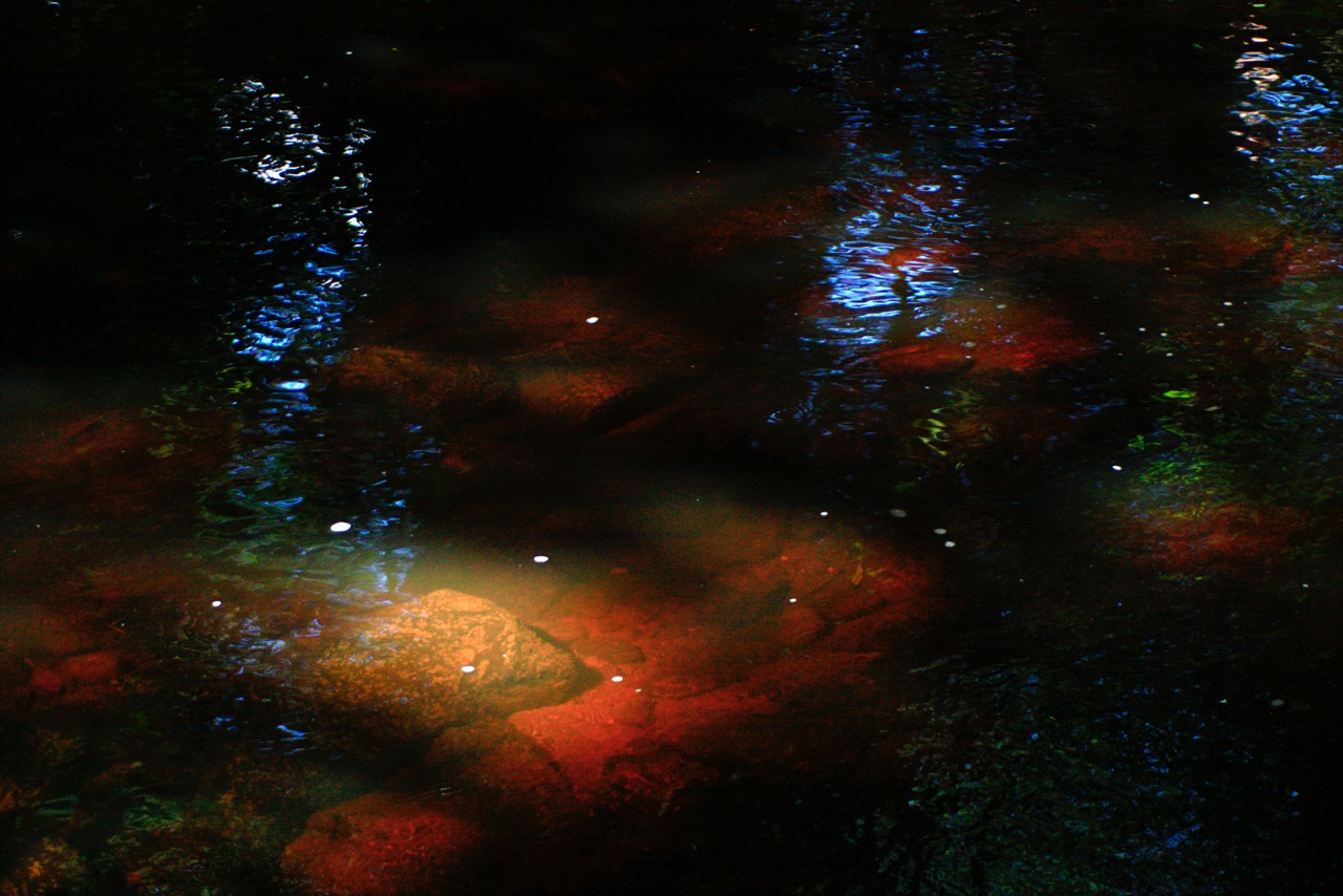 Fwd: rivelyn a winters day7			
					</div><!-- .entry-content -->
		
		<footer>
		
		
		
					
					</footer><!-- .entry-meta -->
	</article><!-- #post -->
				
											
				
		
<hr class=