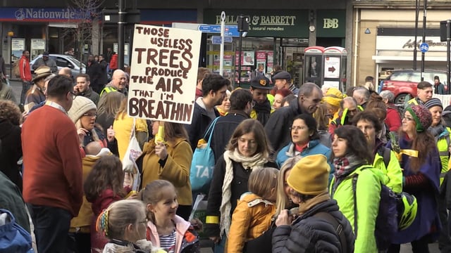 Tree campaigners form yellow ribbon around Sheffield Town Hall