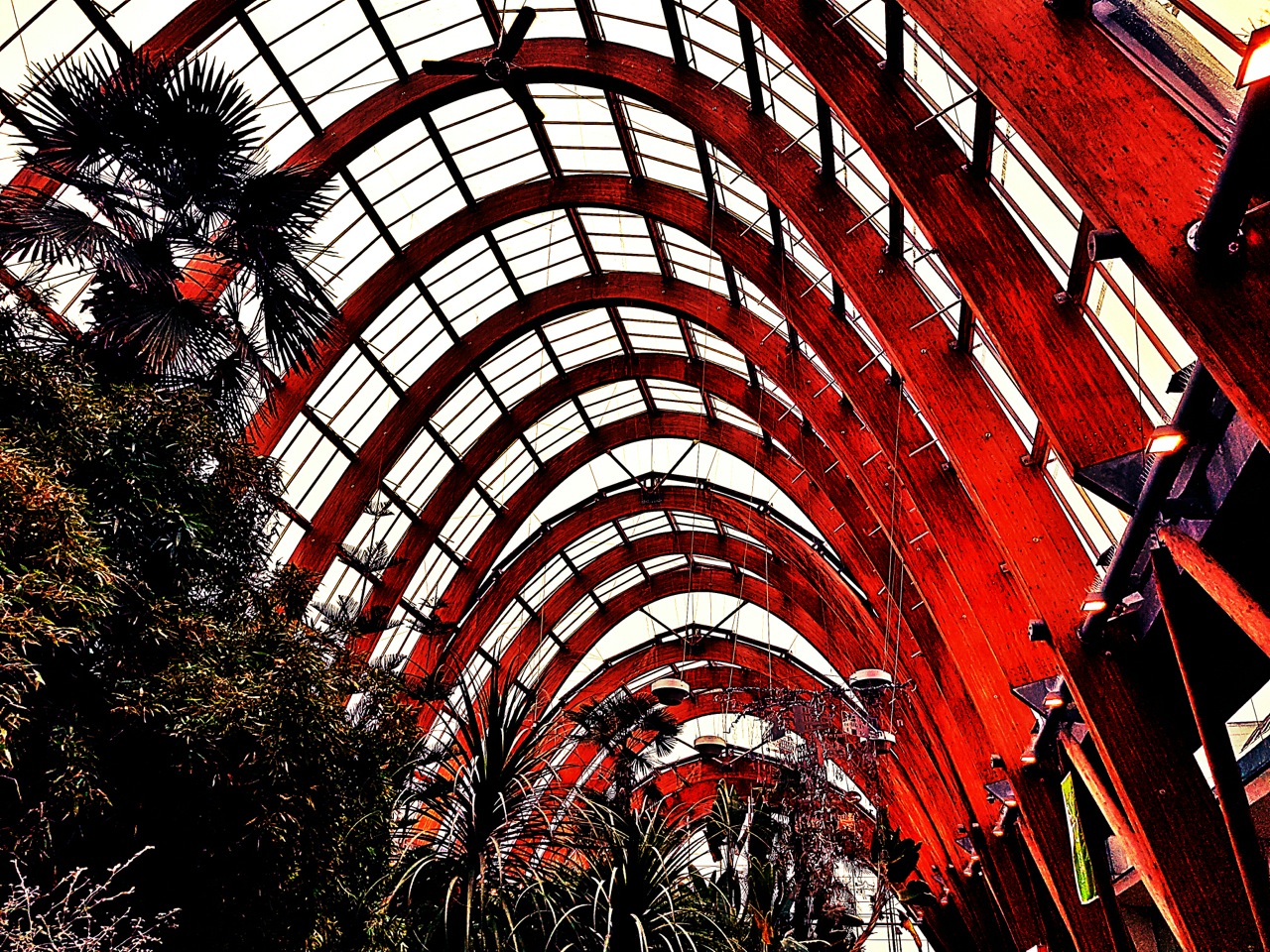 Fwd: Photos			
					</div><!-- .entry-content -->
		
		<footer>
		
		
		
					
					</footer><!-- .entry-meta -->
	</article><!-- #post -->
				
											
				
		
<hr class=