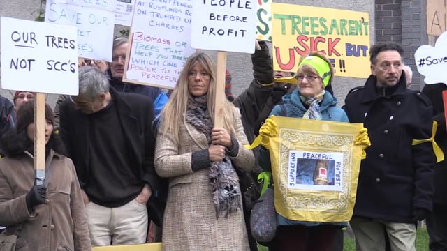 Tree campaigner speaks out after charges dropped