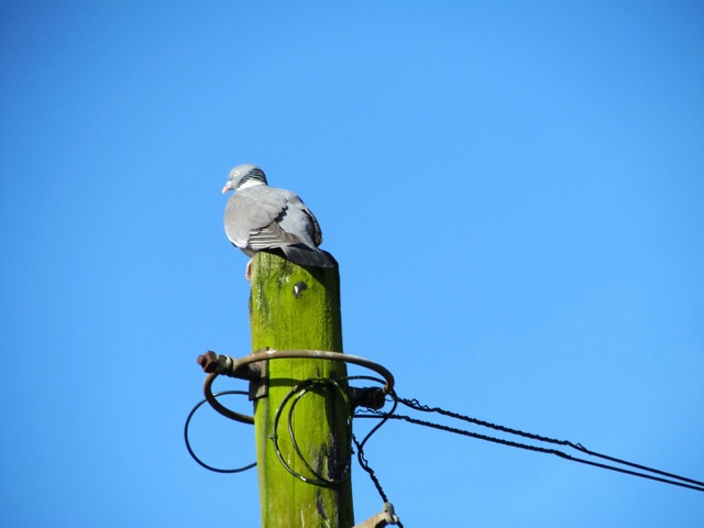 Fwd:			
					</div><!-- .entry-content -->
		
		<footer>
		
		
		
					
					</footer><!-- .entry-meta -->
	</article><!-- #post -->
				
											
				
		
<hr class=