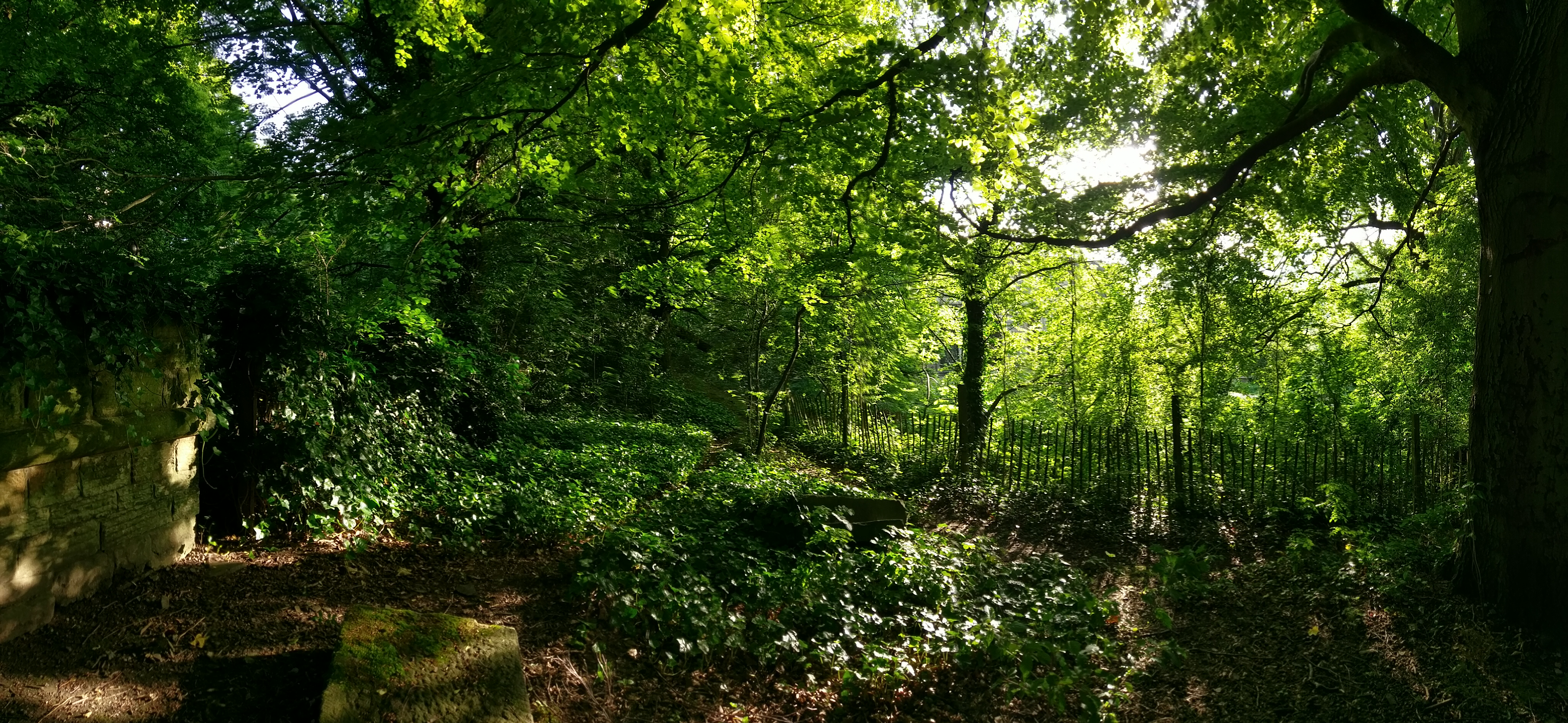 Fwd: Picture from General Cemetery			
					</div><!-- .entry-content -->
		
		<footer>
		
		
		
					
					</footer><!-- .entry-meta -->
	</article><!-- #post -->
				
											
				
		
<hr class=