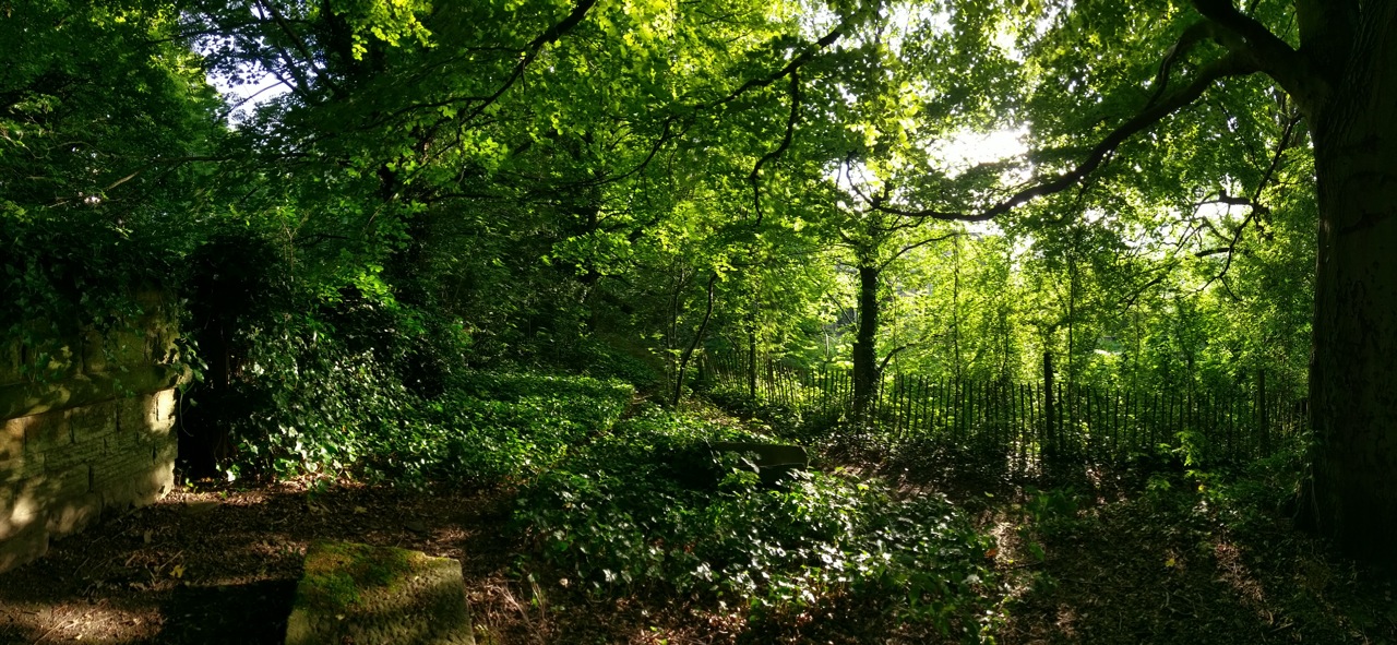 Fwd: Picture from General Cemetery			
					</div><!-- .entry-content -->
		
		<footer>
		
		
		
					
					</footer><!-- .entry-meta -->
	</article><!-- #post -->
				
											
				
		
<hr class=