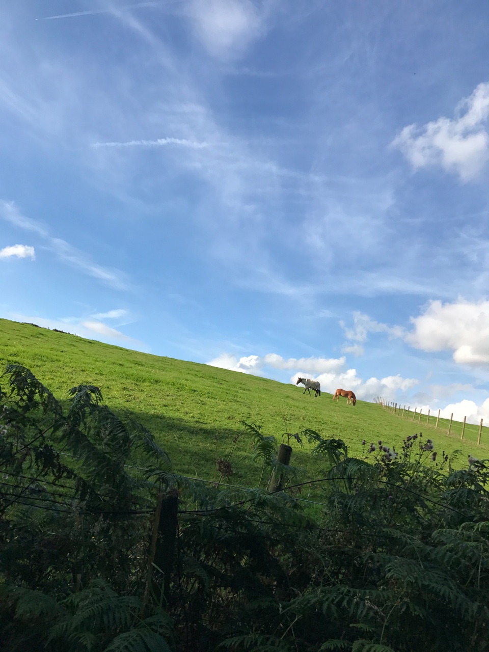 Fwd: Photos			
					</div><!-- .entry-content -->
		
		<footer>
		
		
		
					
					</footer><!-- .entry-meta -->
	</article><!-- #post -->
				
											
				
		
<hr class=