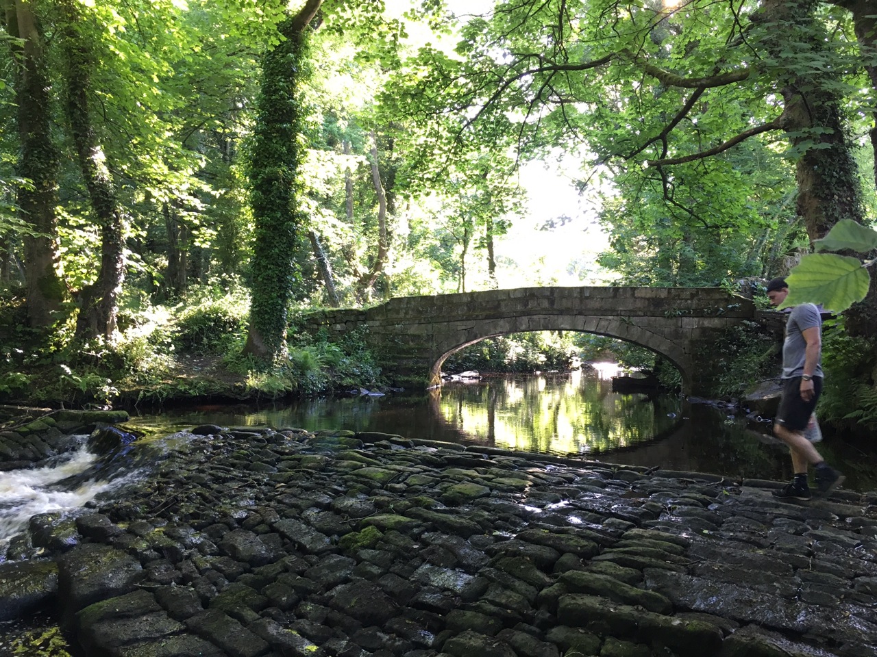 Fwd:			
					</div><!-- .entry-content -->
		
		<footer>
		
		
		
					
					</footer><!-- .entry-meta -->
	</article><!-- #post -->
				
											
				
		
<hr class=