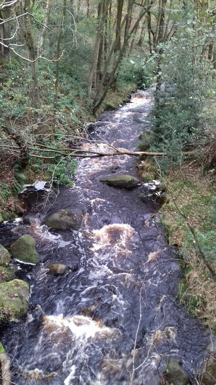 Fwd: Photo			
					</div><!-- .entry-content -->
		
		<footer>
		
		
		
					
					</footer><!-- .entry-meta -->
	</article><!-- #post -->
				
											
				
		
<hr class=