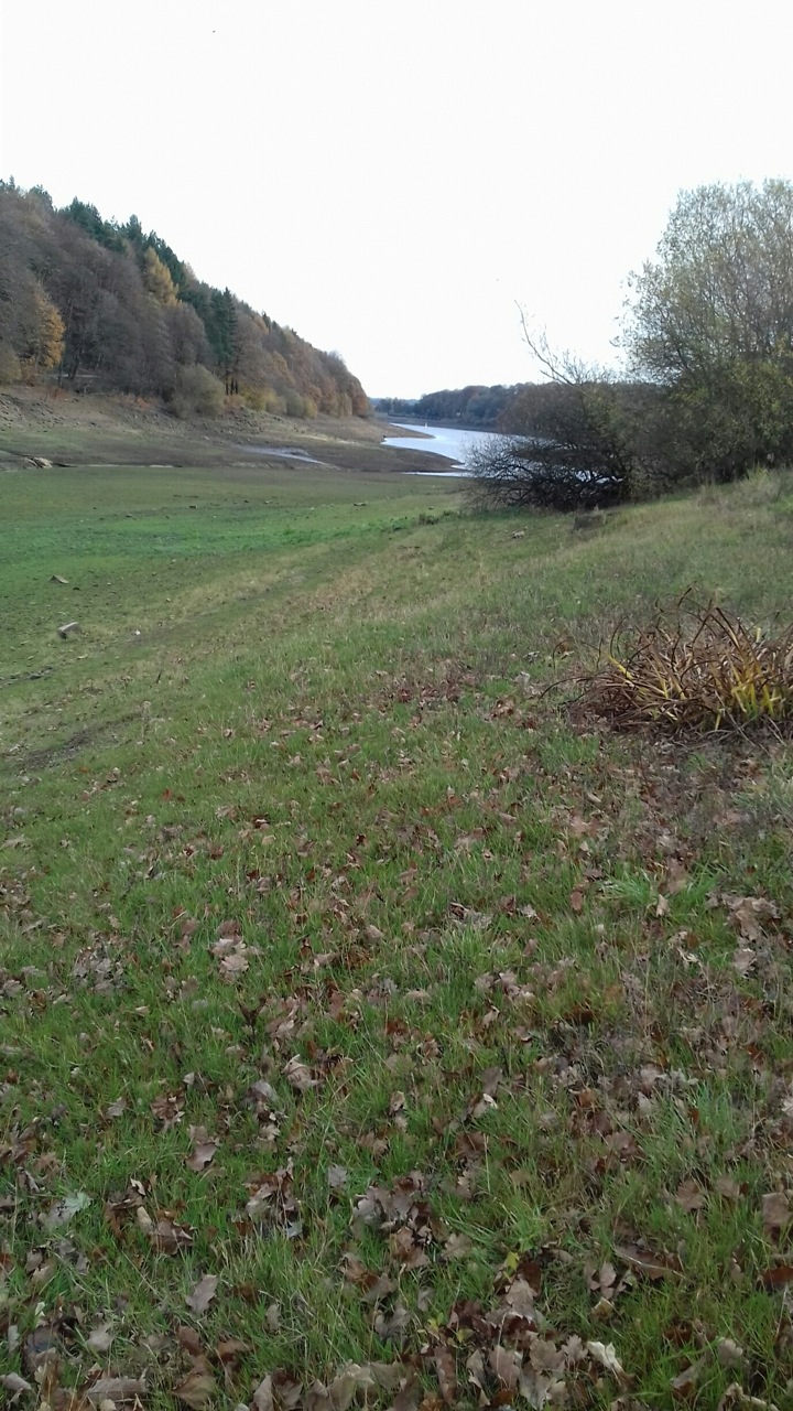 Fwd: Dam flask drained . Willy D.			
					</div><!-- .entry-content -->
		
		<footer>
		
		
		
					
					</footer><!-- .entry-meta -->
	</article><!-- #post -->
				
											
				
		
<hr class=