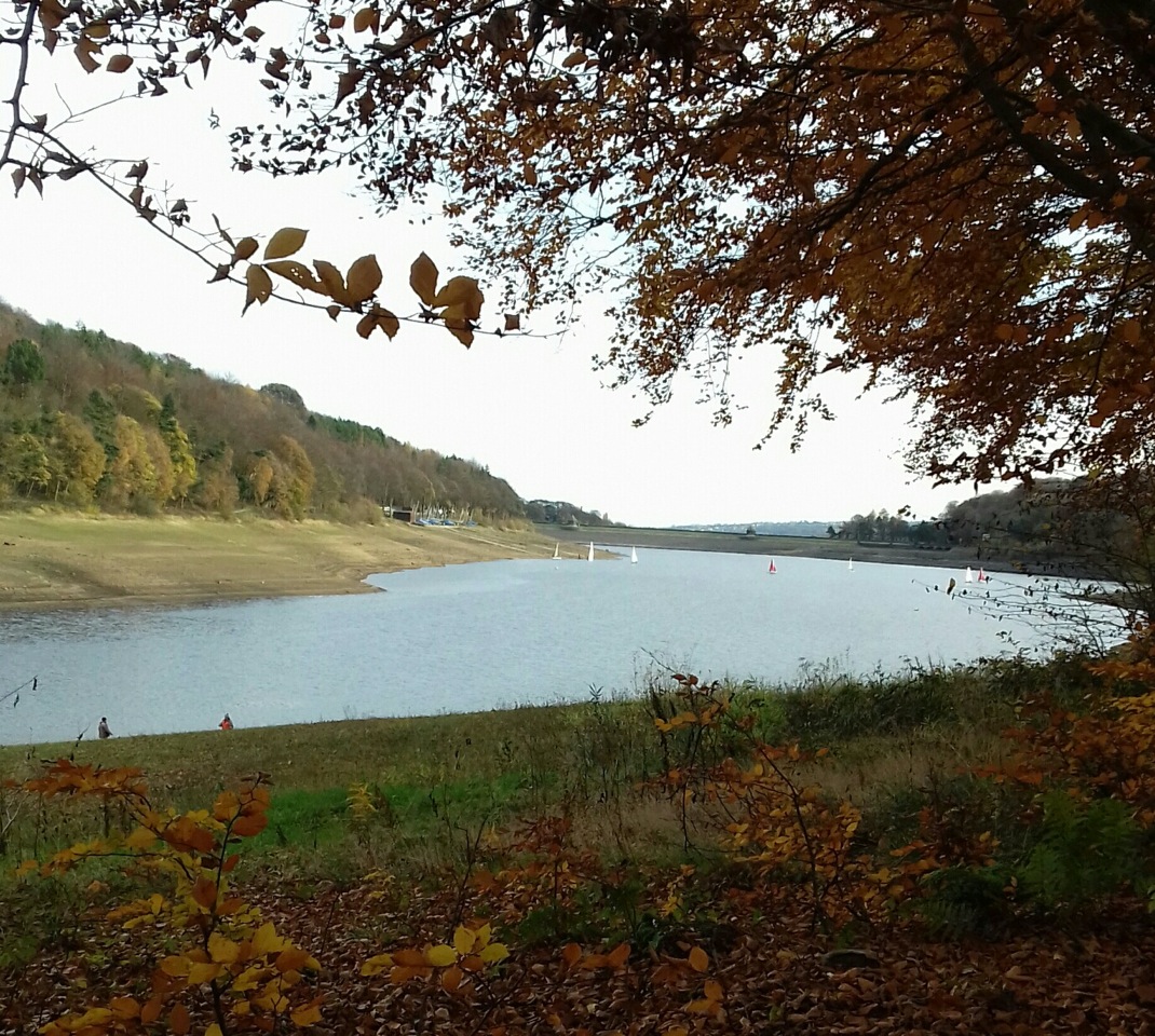 Fwd: Photo			
					</div><!-- .entry-content -->
		
		<footer>
		
		
		
					
					</footer><!-- .entry-meta -->
	</article><!-- #post -->
				
											
				
		
<hr class=