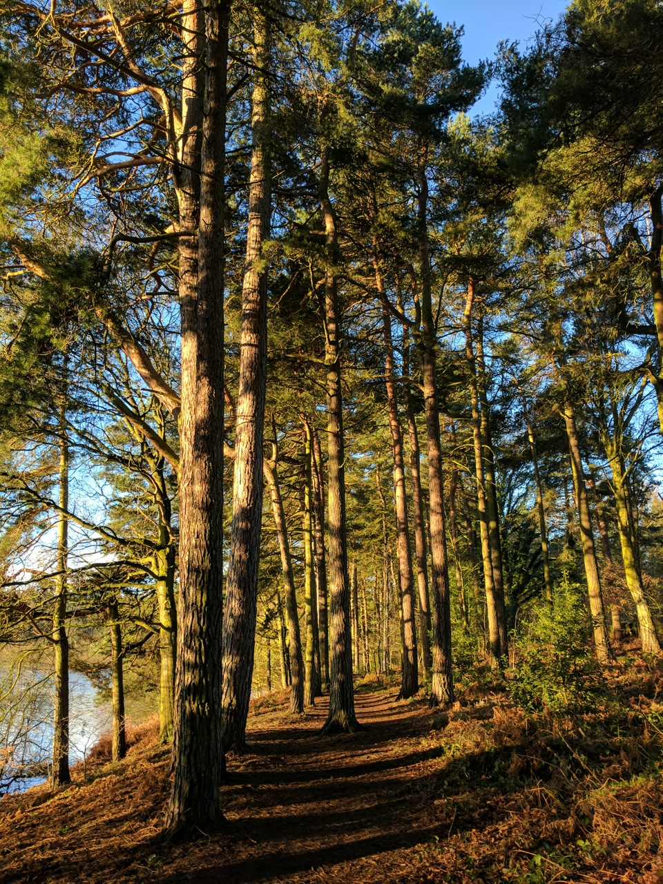 Fwd: Bradfield Sheffield			
					</div><!-- .entry-content -->
		
		<footer>
		
		
		
					
					</footer><!-- .entry-meta -->
	</article><!-- #post -->
				
											
				
		
<hr class=