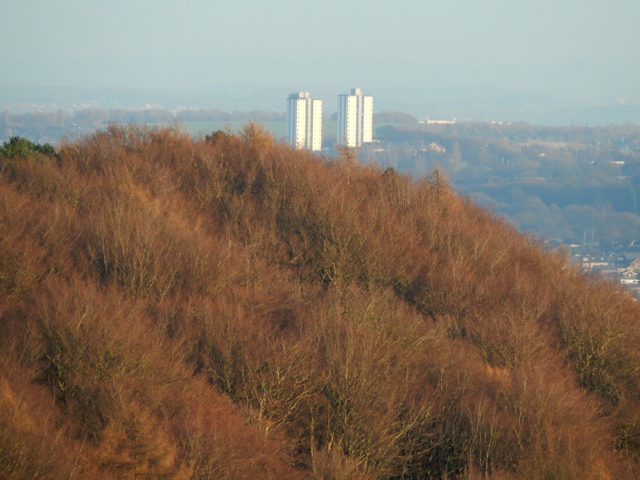 Fwd: Herdings			
					</div><!-- .entry-content -->
		
		<footer>
		
		
		
					
					</footer><!-- .entry-meta -->
	</article><!-- #post -->
				
											
				
		
<hr class=